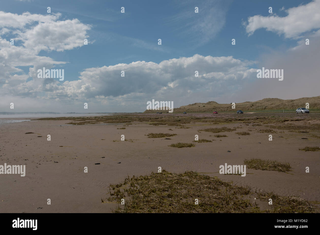 Cars travelling along the causeway just after the tide has receded in Lindisfarne, with sand and seaweed in the foreground, and a blue sky with clouds Stock Photo