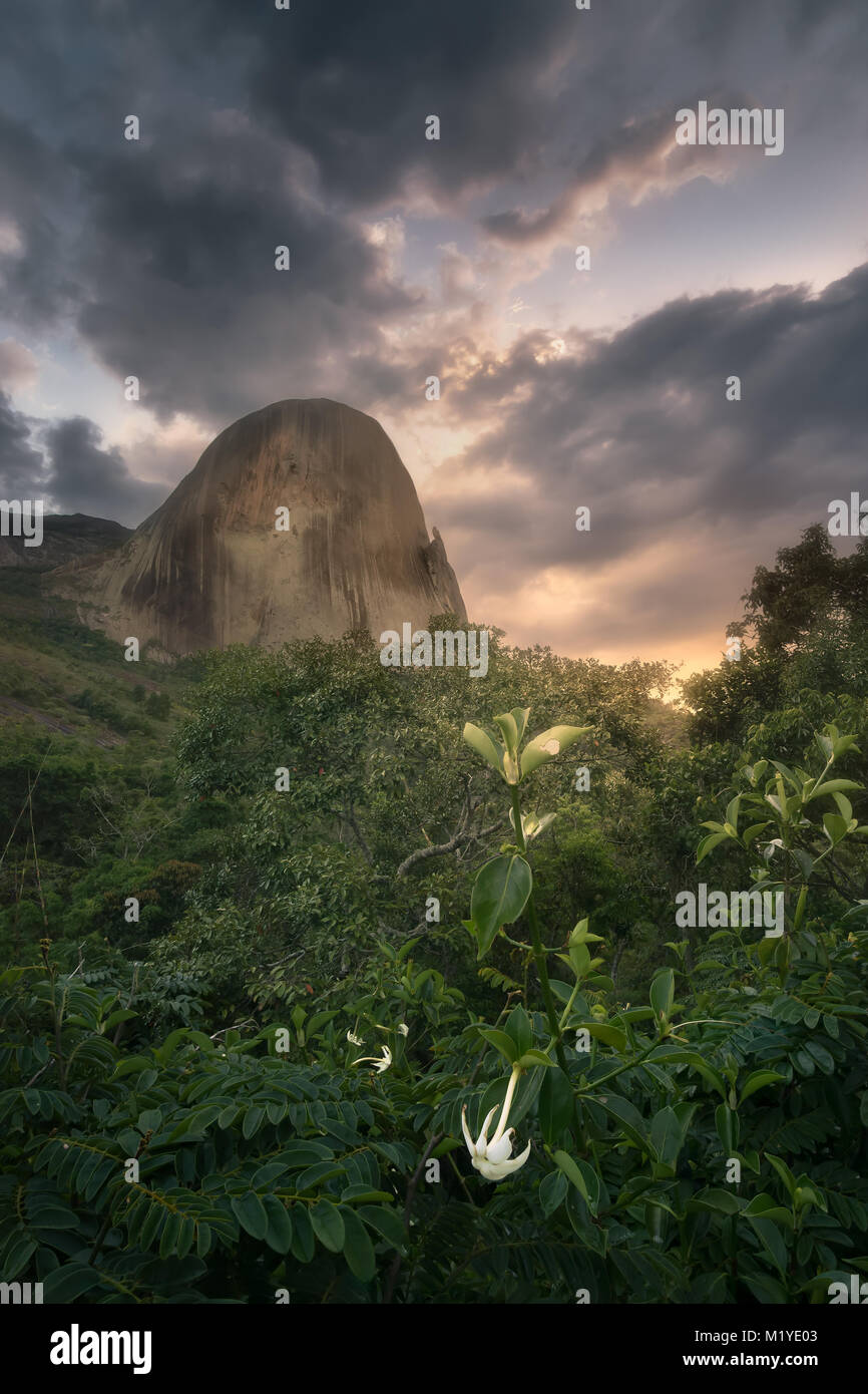 Dusk in Rota do Lagarto, Pedra Azul, Brazil, with a flower in the foreground. Stock Photo