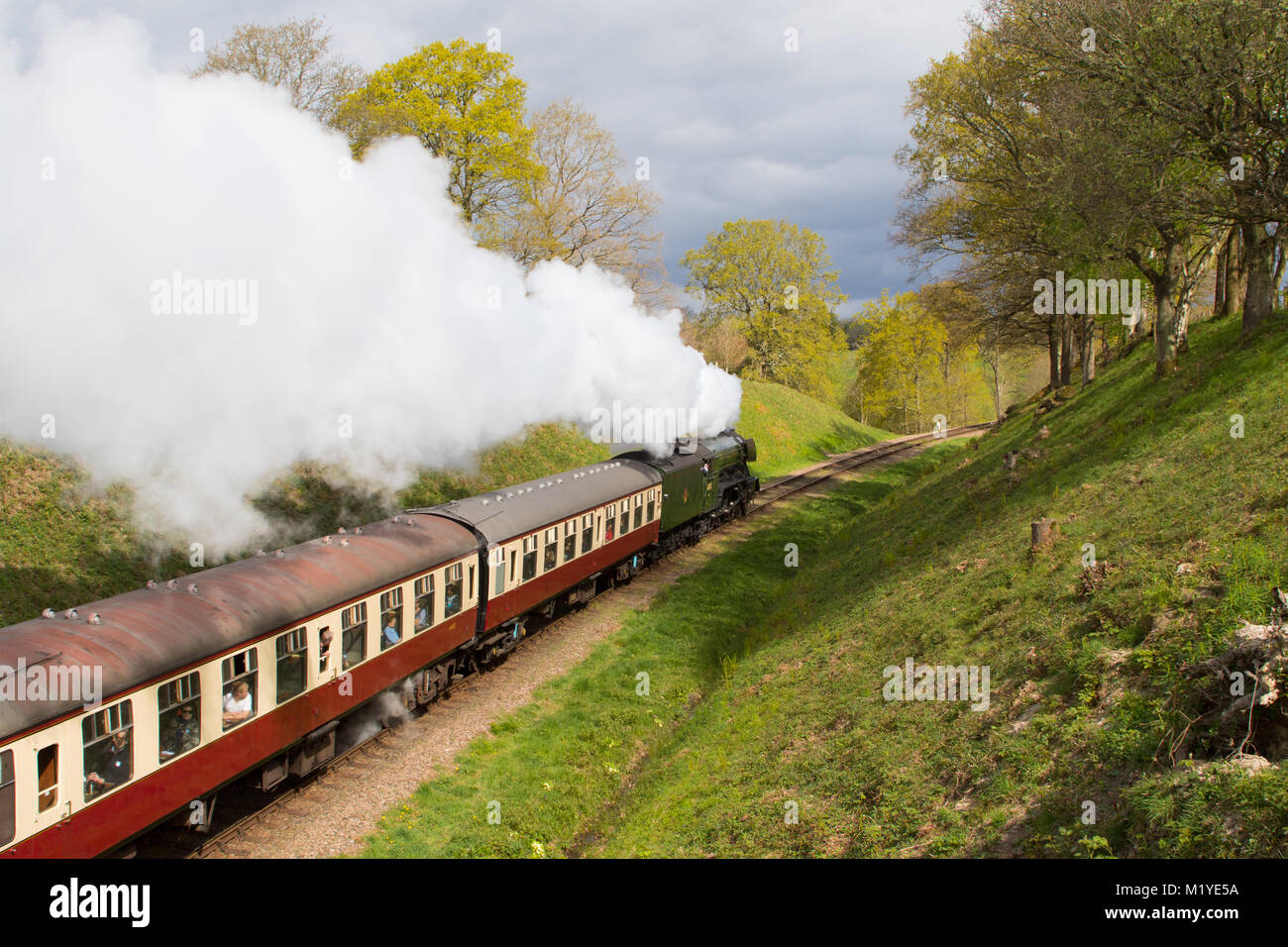 The Flying Scotsman making her way through the beautiful East Sussex countryside, on the bluebell railway, as part of her round Britain tour 2016 Stock Photo
