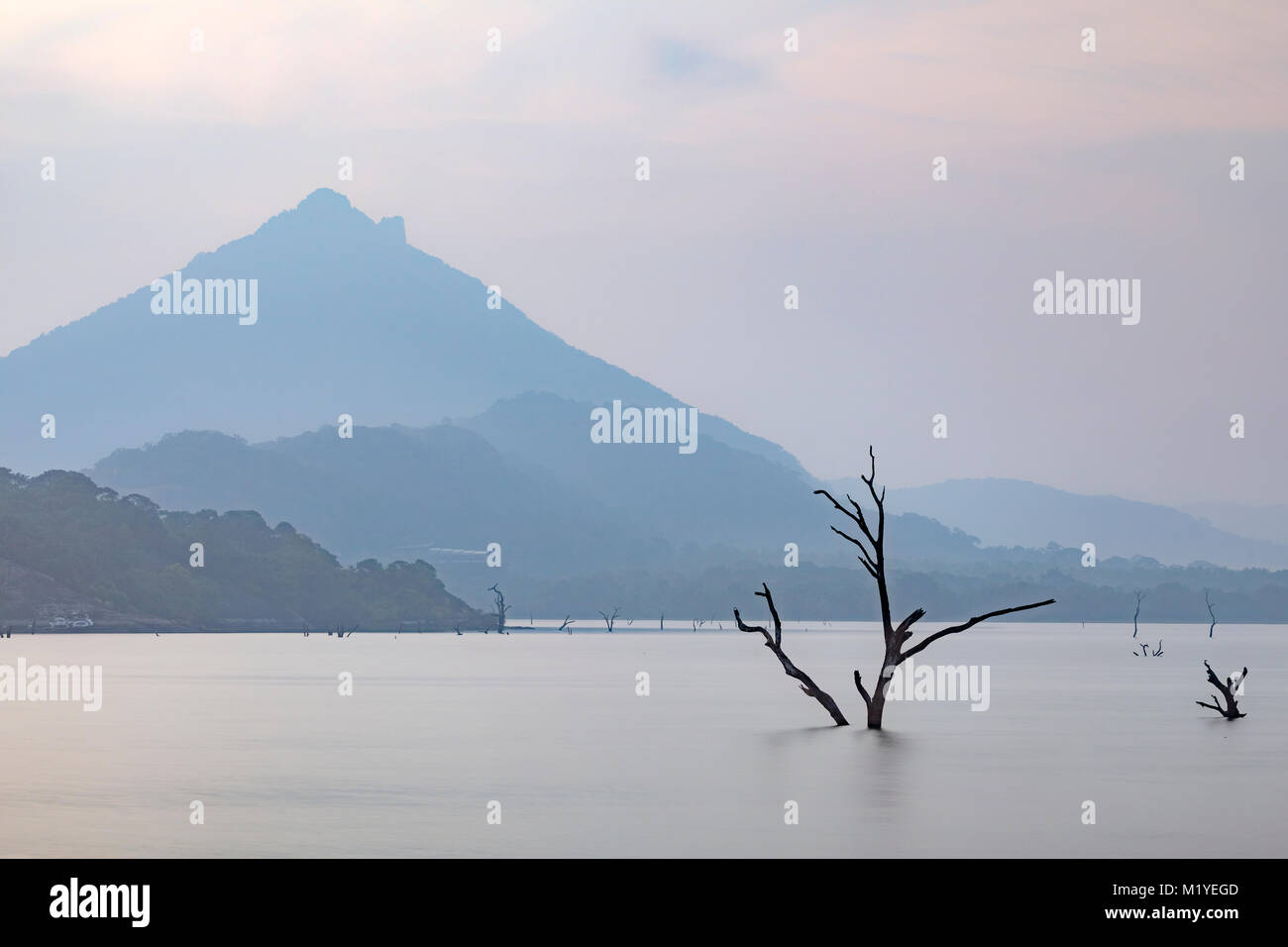 Kandalama Lake, Central Province, Sri Lanka, Asia Stock Photo