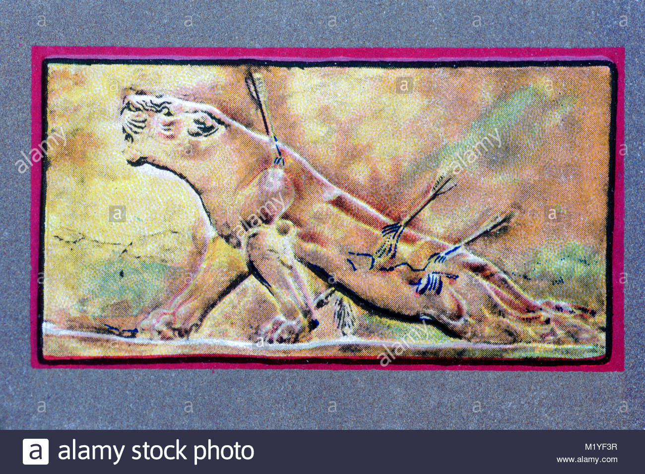 British Museum - The Dying lioness illustration Stock Photo