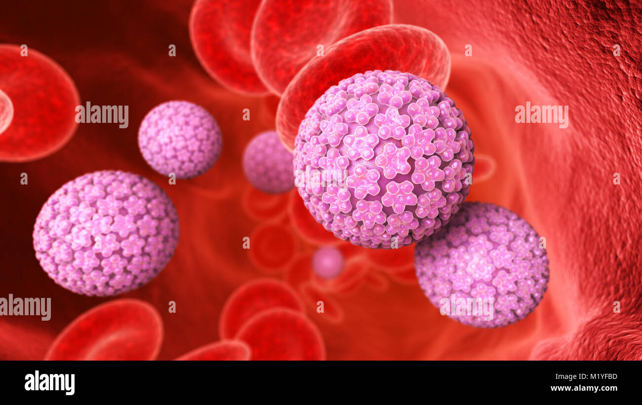Human papillomavirus (HPV) is a DNA virus from the papillomavirus family. 3D illustration Stock Photo