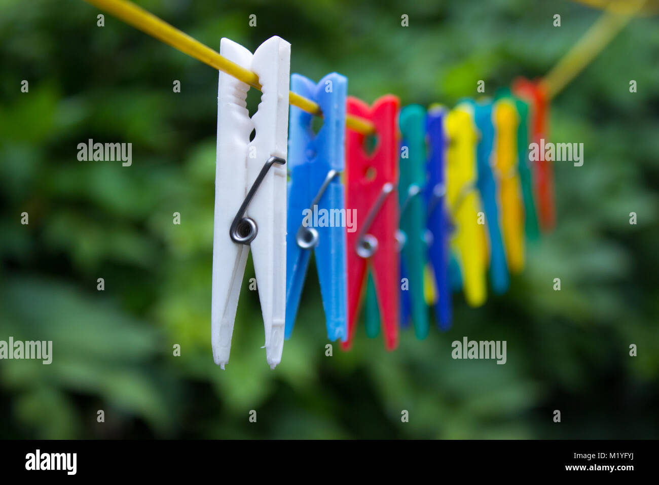 Colorful clothespins hanging on a clothesline. In the background are the trees. Stock Photo