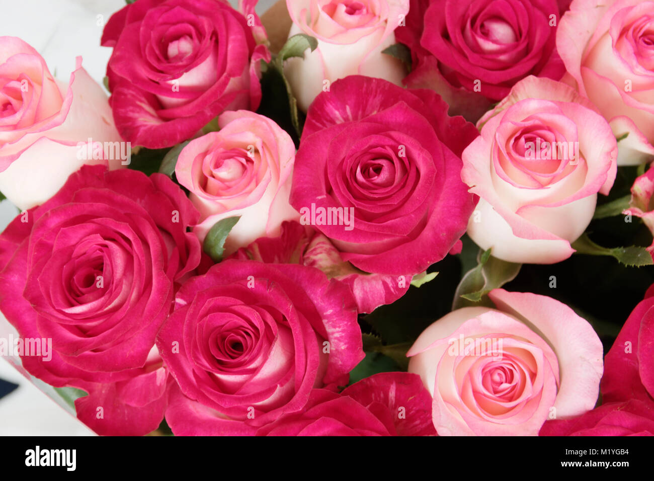 Bouquet of fresh roses Stock Photo - Alamy