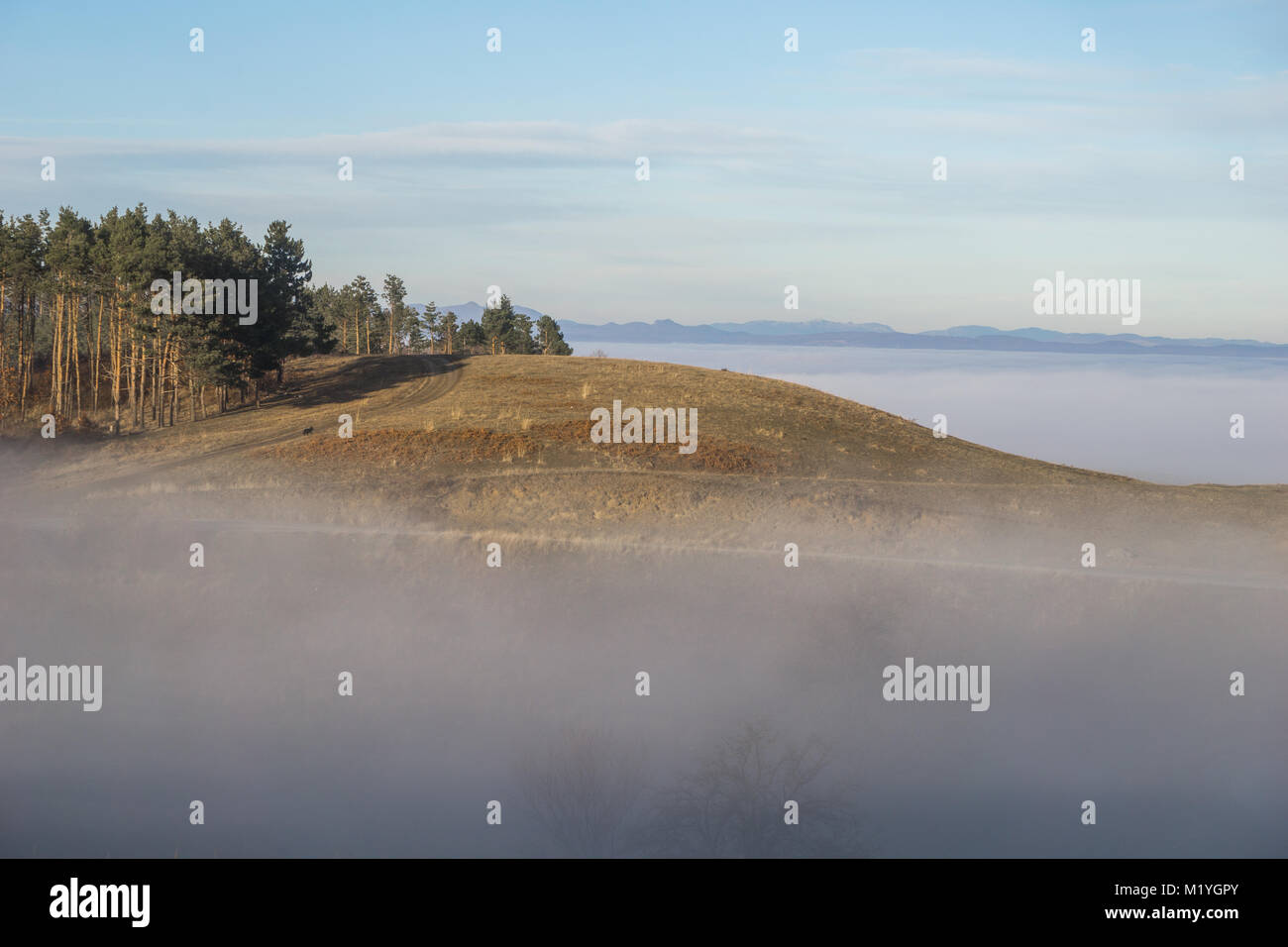 Small Hill Rise A small hill rising just above the thick fog on a sunny afternoon in ...