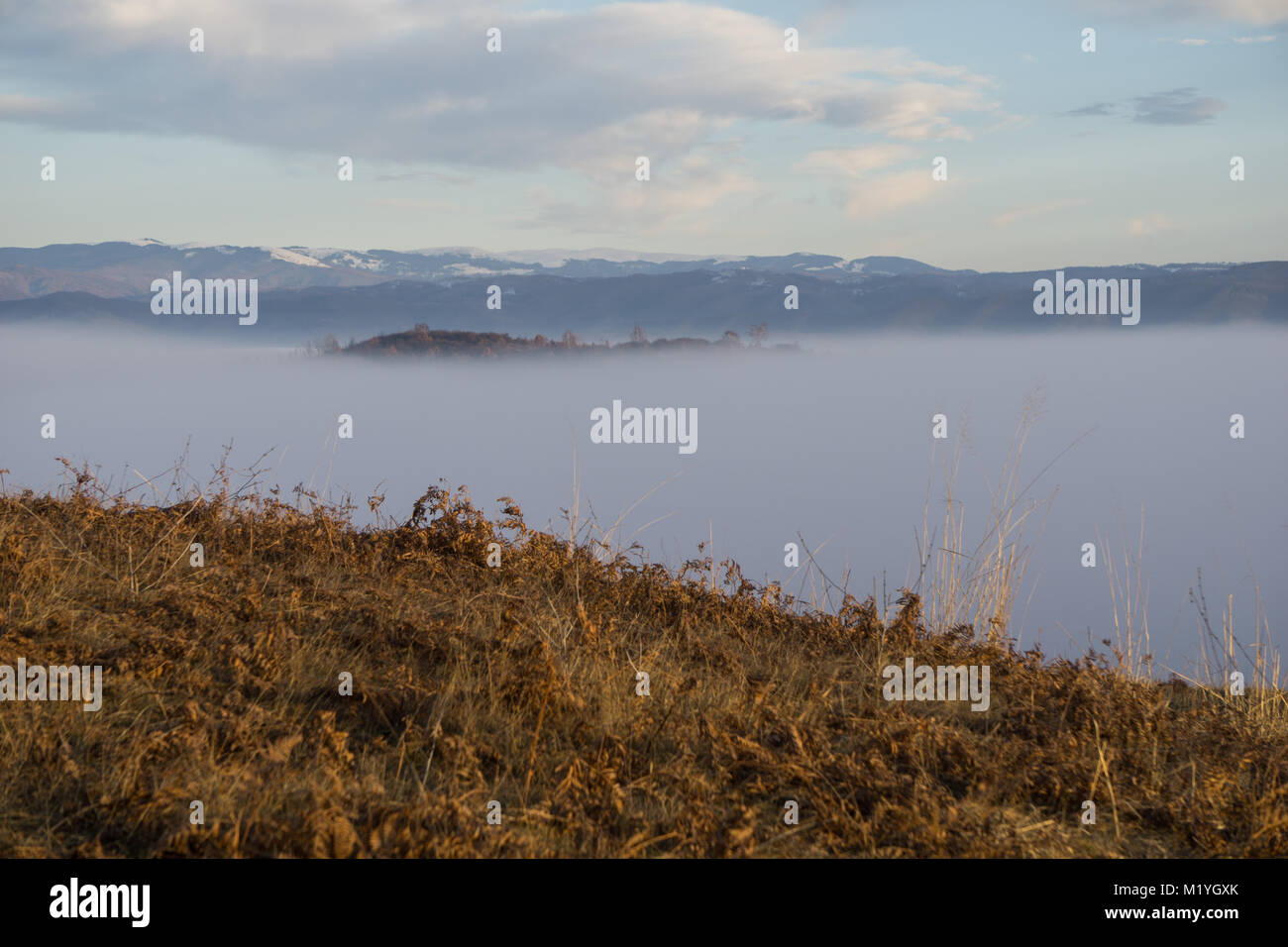 A wild hilltop with a fog covered valley in the background Stock Photo