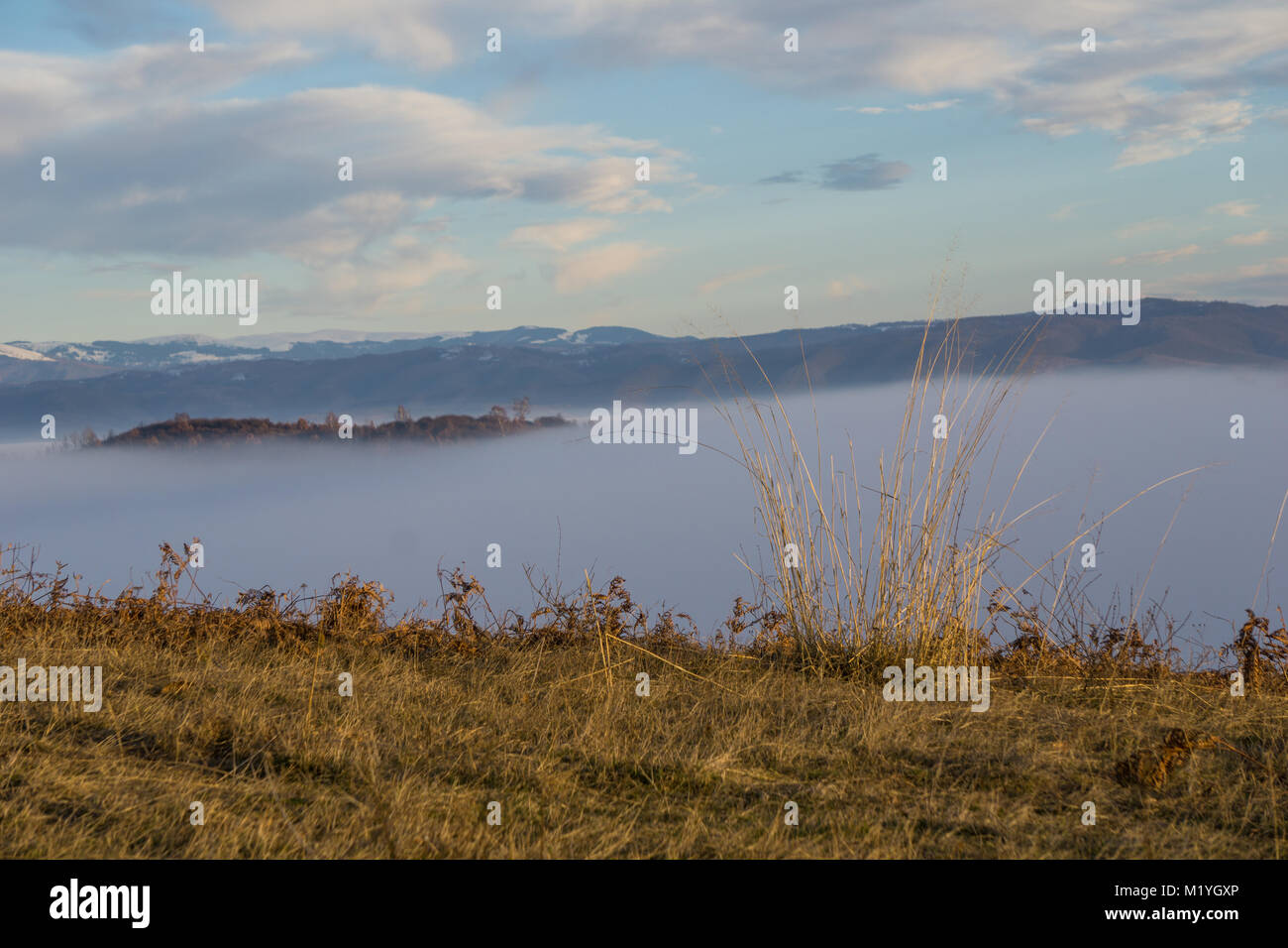 Fog Filled Valley High Resolution Stock Photography and Images - Alamy