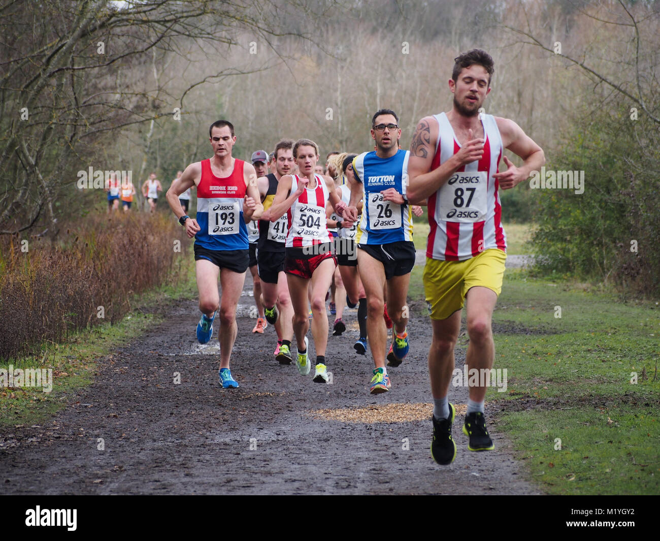 Runners taking part in an off road, trail race Stock Photo