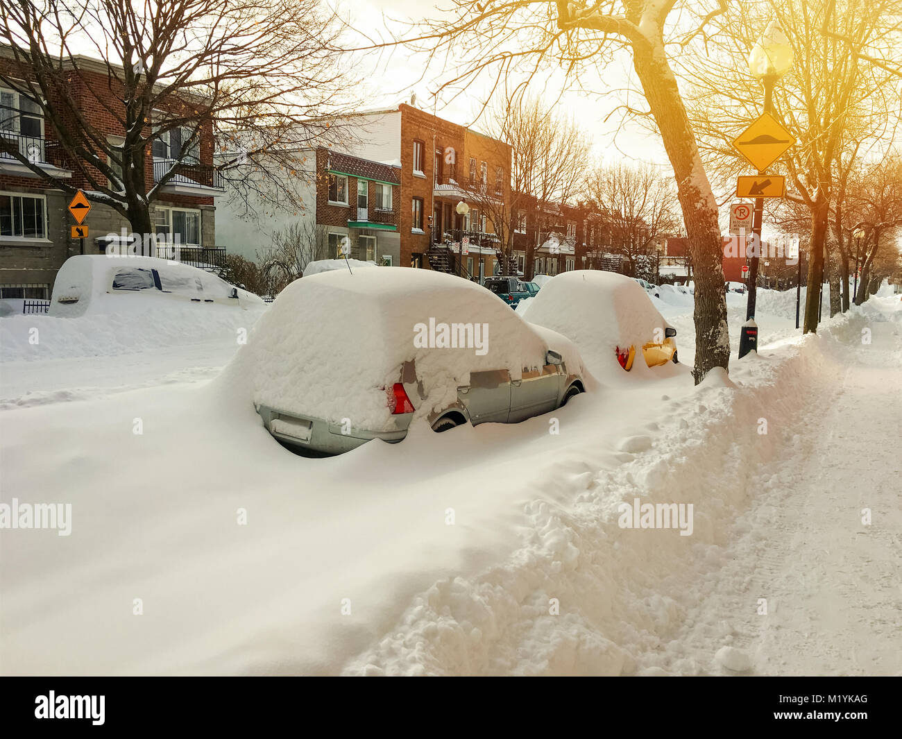 Cars covered with snow on winter street in sunset. Montreal, Quebec