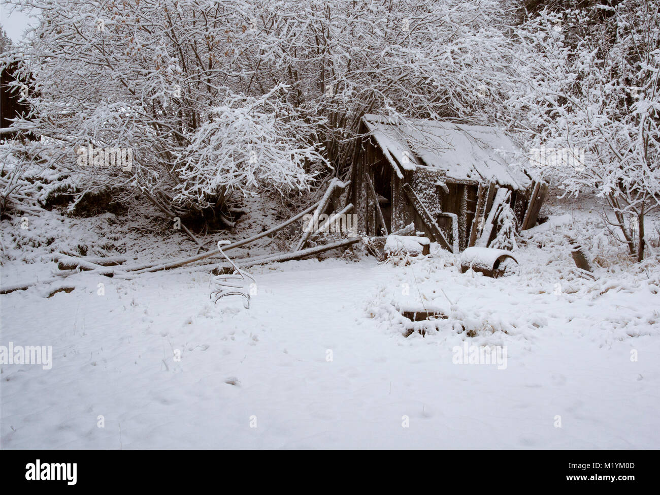 An abandoned cabin at Ghost Town, northwest of Drummond, Montana