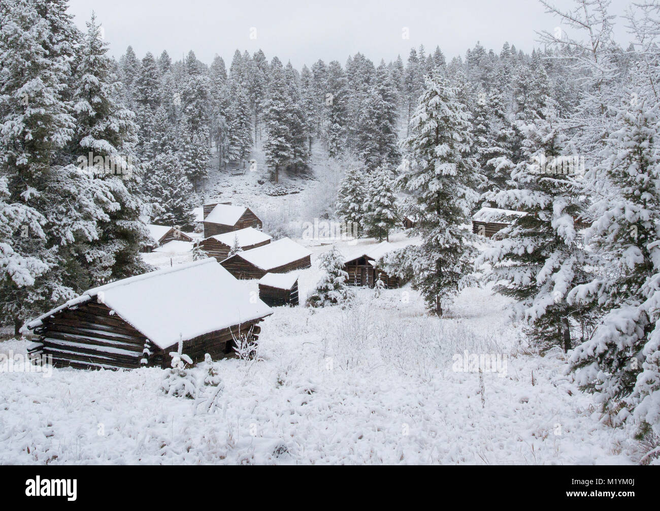 Abandoned wooden cabins at the Ghost Town, on Bear Gulch