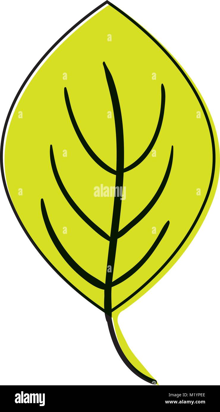 color plant tropical leaf nature design Stock Vector Image & Art - Alamy