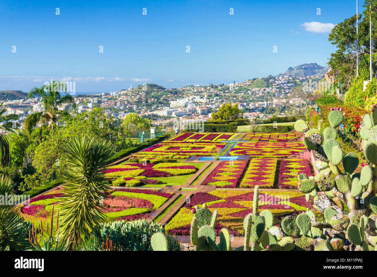 MADEIRA PORTUGAL MADEIRA Botanical gardens FUNCHAL BOTANICAL GARDENS Jardim Botanico above the capital city of funchal, Madeira, Portugal, EU, Europe Stock Photo