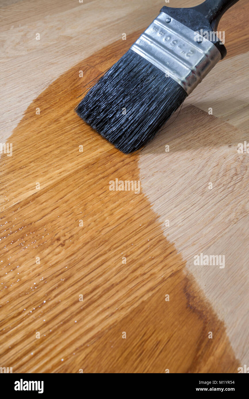 Close up of a paint brush applying wood oil onto a solid oak surface Stock Photo