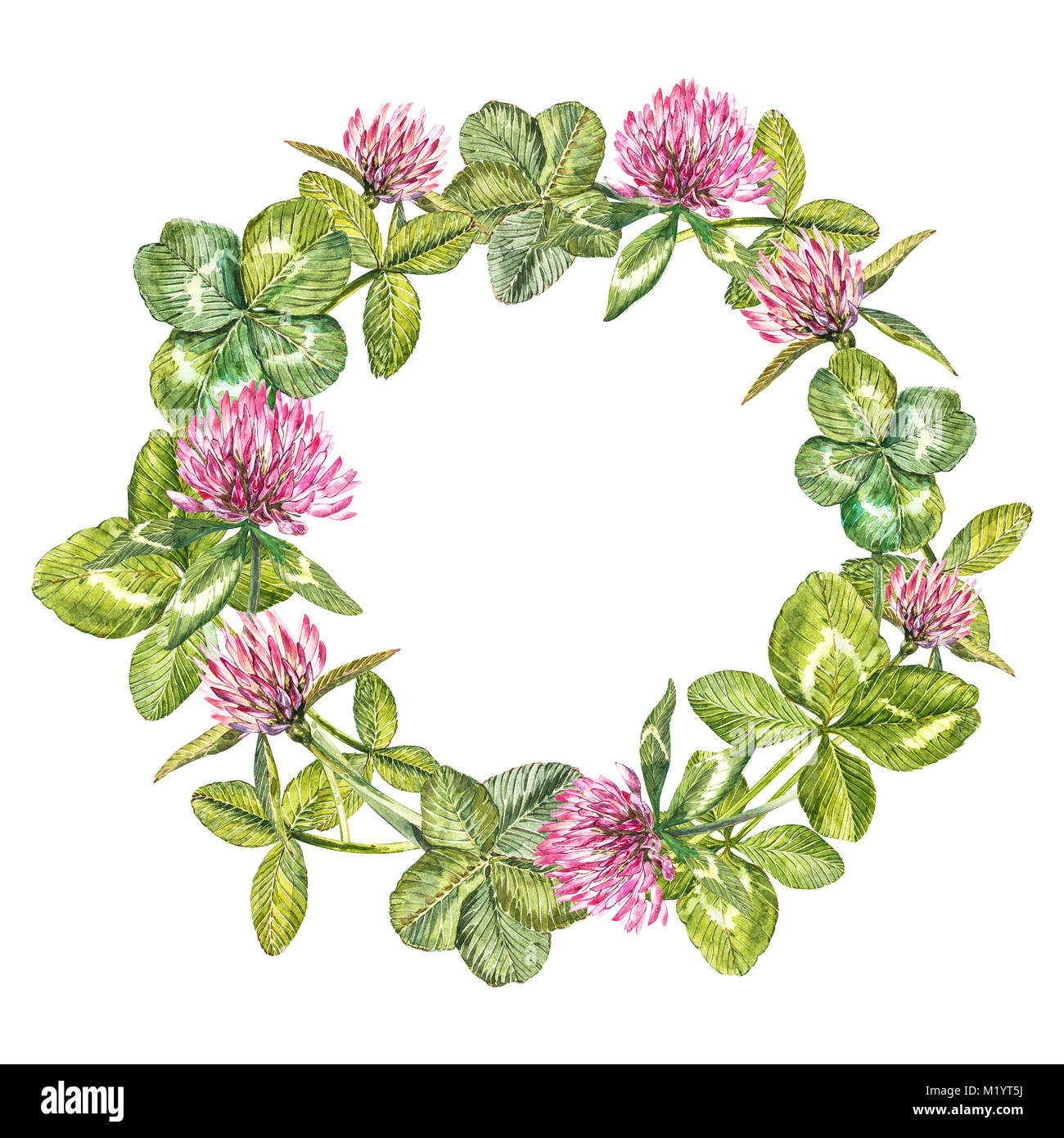 Hand-drawn watercolor wreath of flowers of red clover and leaves illustration. Painted botanical three-leaved meadow grass, isolated on white background. Happy St.Patrick 's Day card compositions. Stock Photo