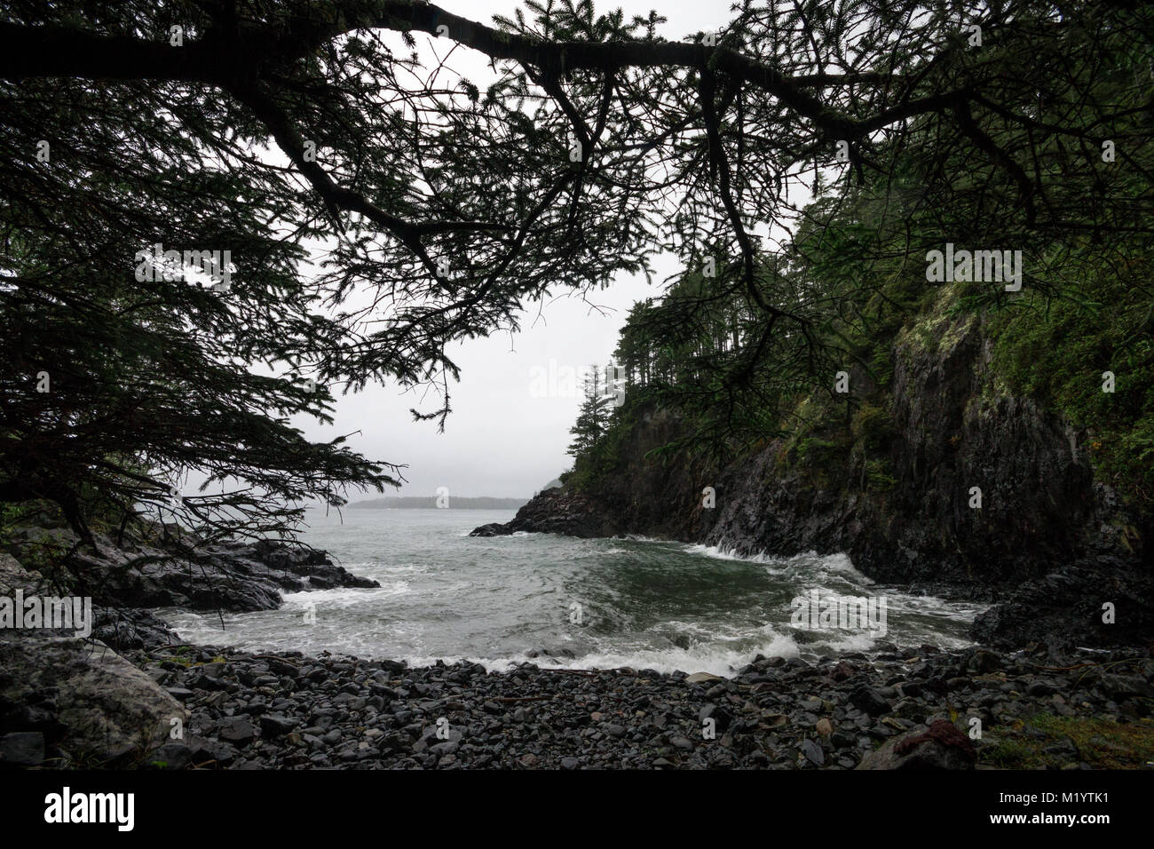 Hidden cove in Pacific Rim Preserve, Tofino Stock Photo