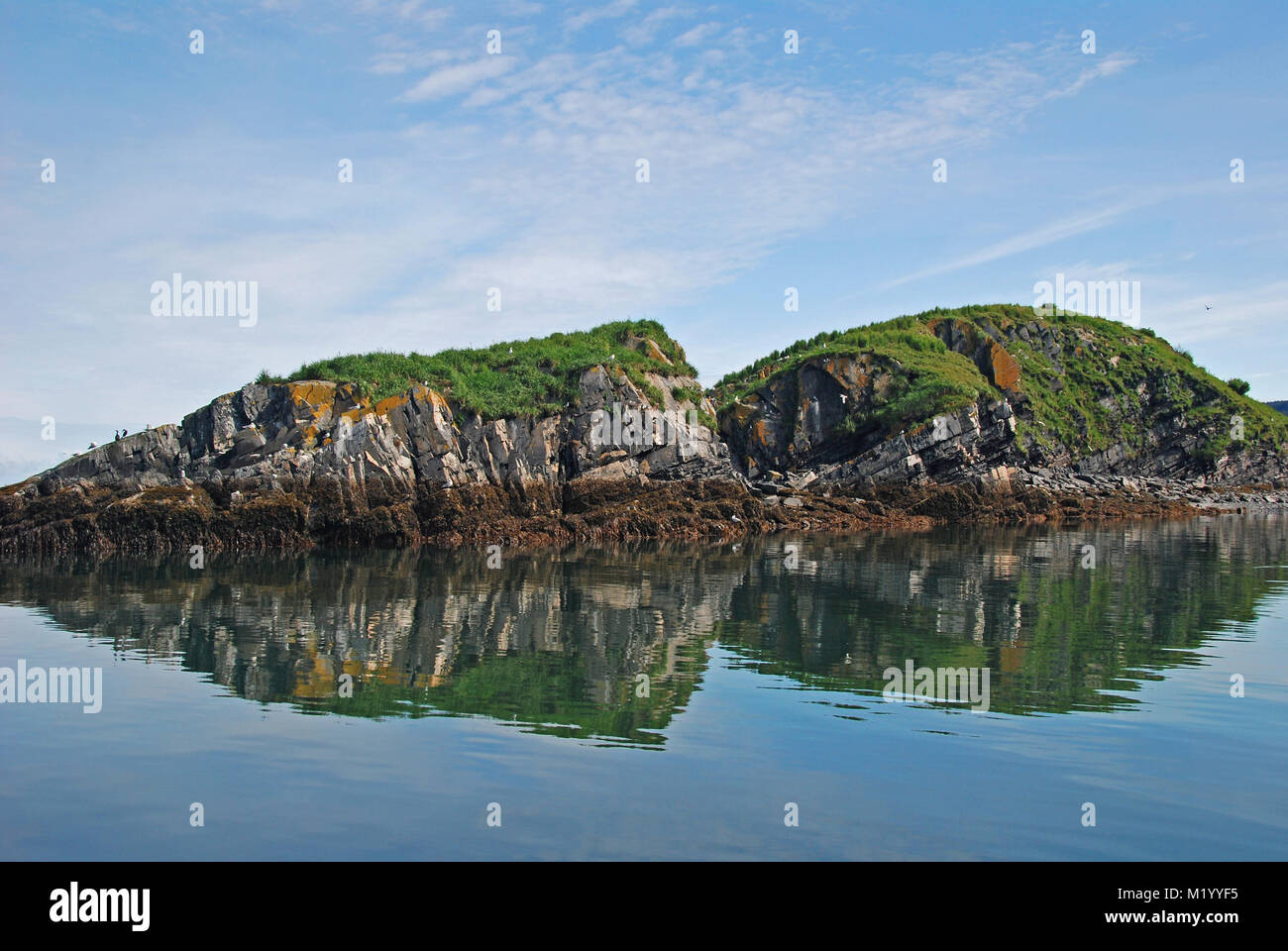 A bird nesting island near Kodiak, Alaska Stock Photo Alamy