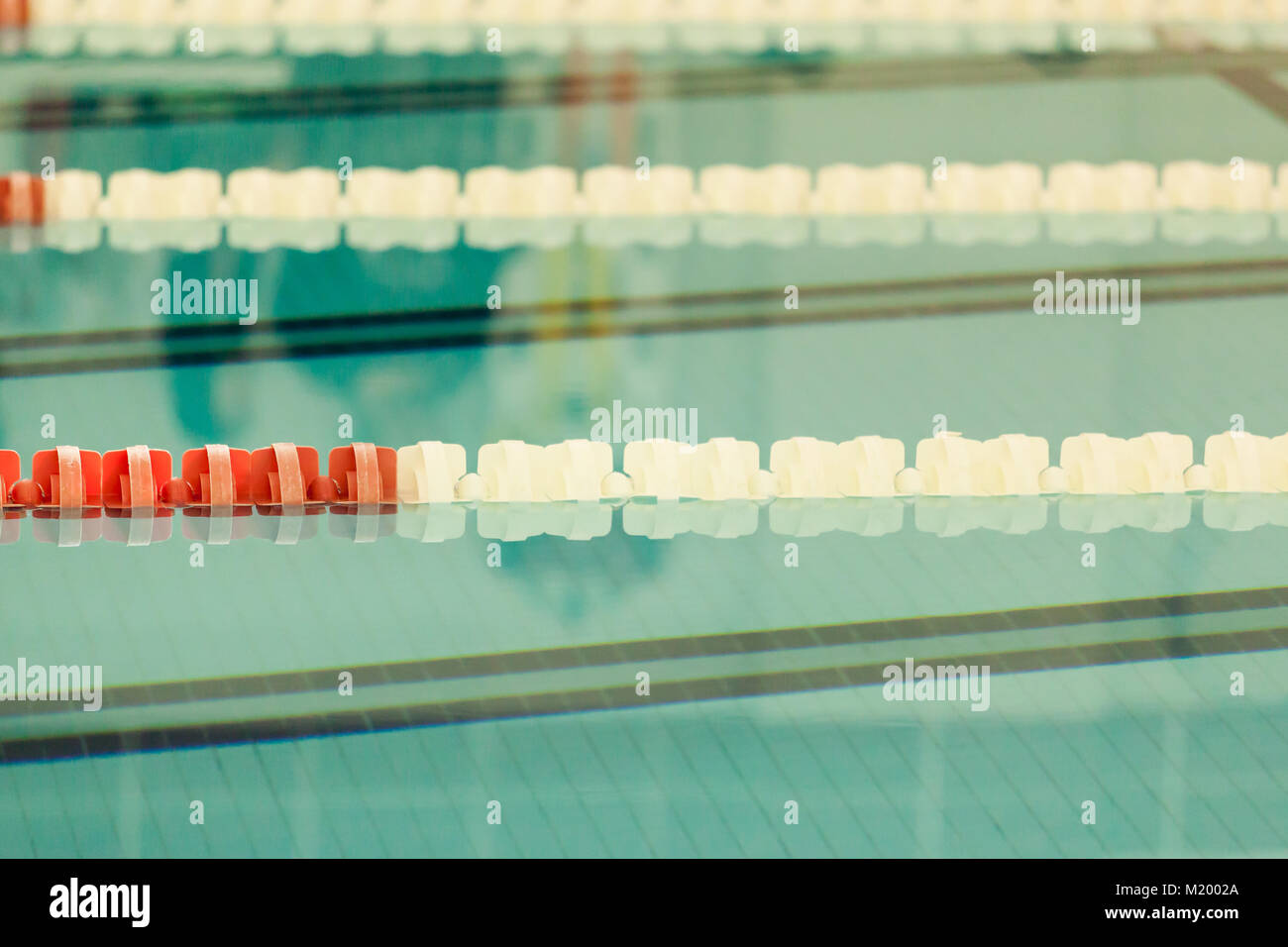 Pool lane lines in an indoor pool Stock Photo Alamy