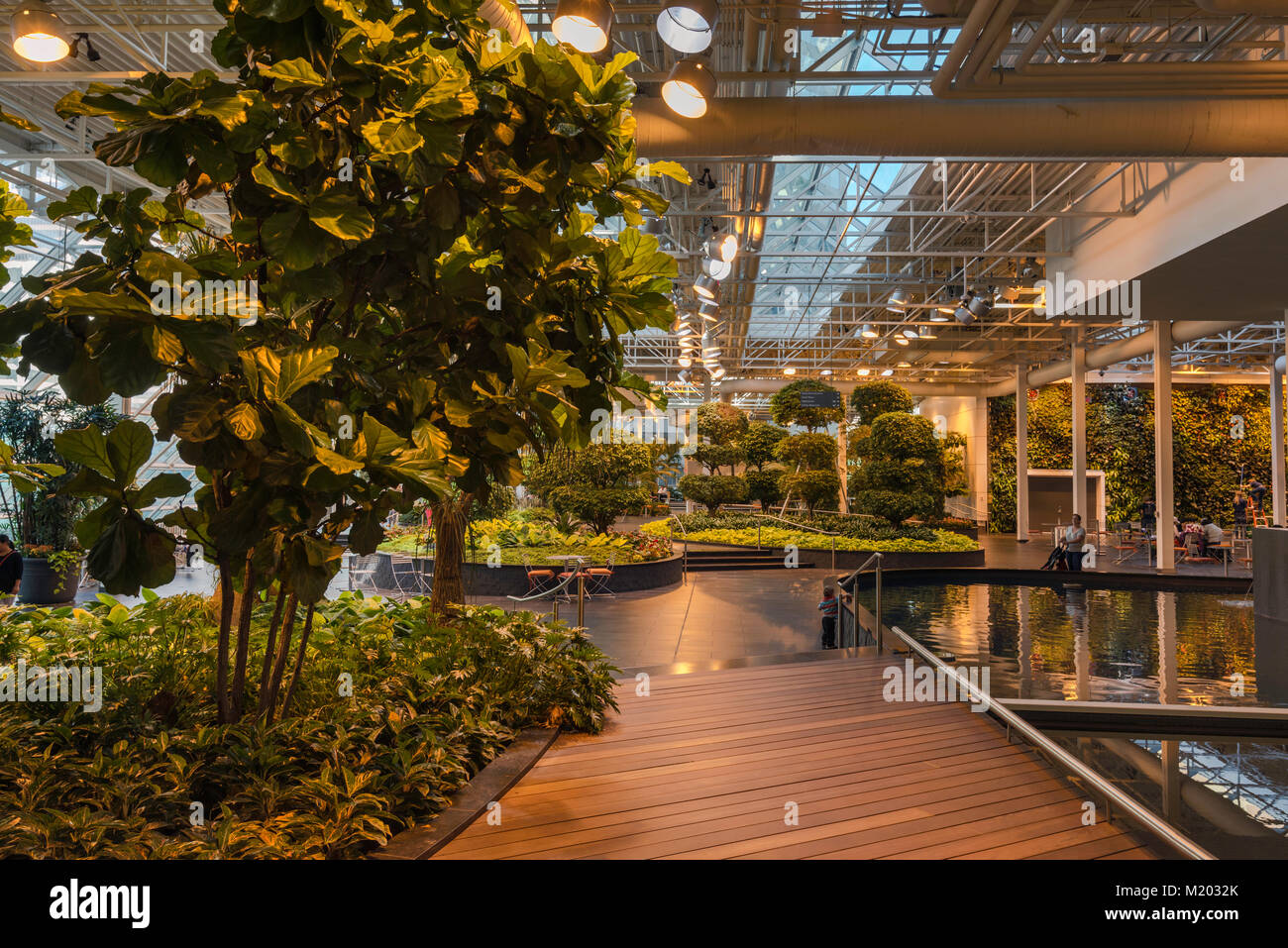 Devonian Gardens, indoor park at Core Shopping Centre in downtown Calgary, Alberta, Canada Stock Photo