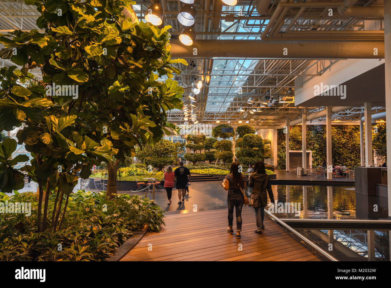 Devonian Gardens, indoor park at Core Shopping Centre in downtown Calgary, Alberta, Canada Stock Photo