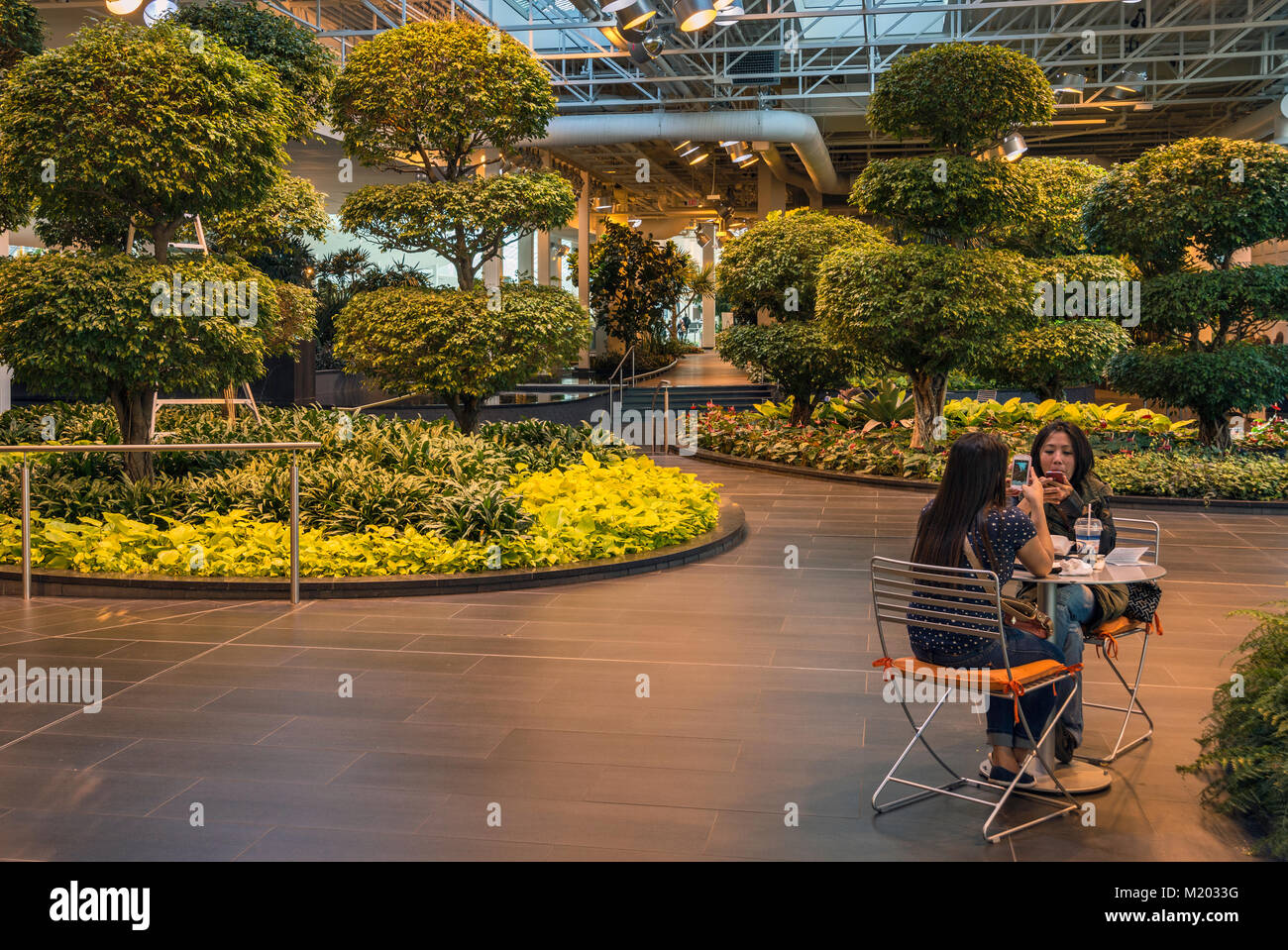 Young women with cell phones at table in Devonian Gardens, indoor park at Core Shopping Centre in downtown Calgary, Alberta, Canada Stock Photo