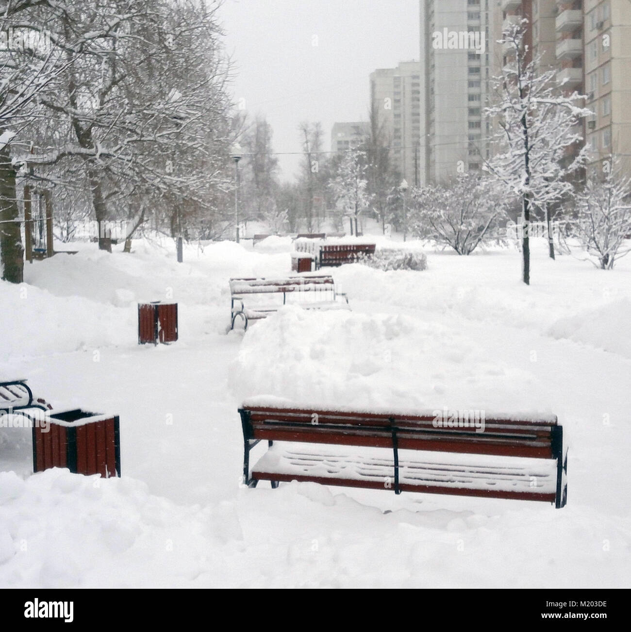 city park after snowfall at day Stock Photo - Alamy