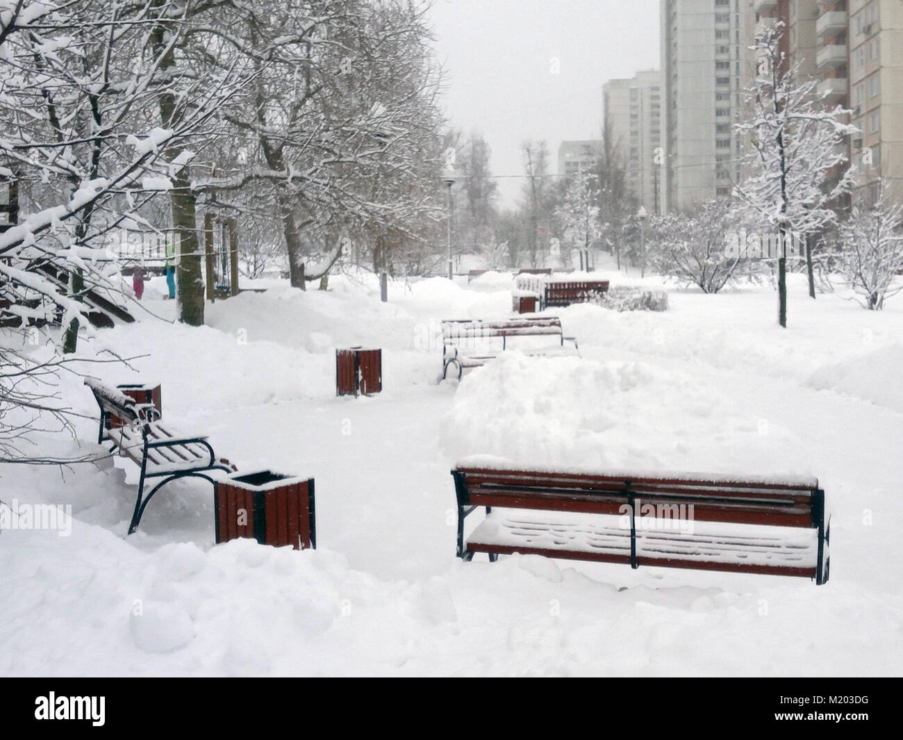 city park after snowfall at day Stock Photo - Alamy