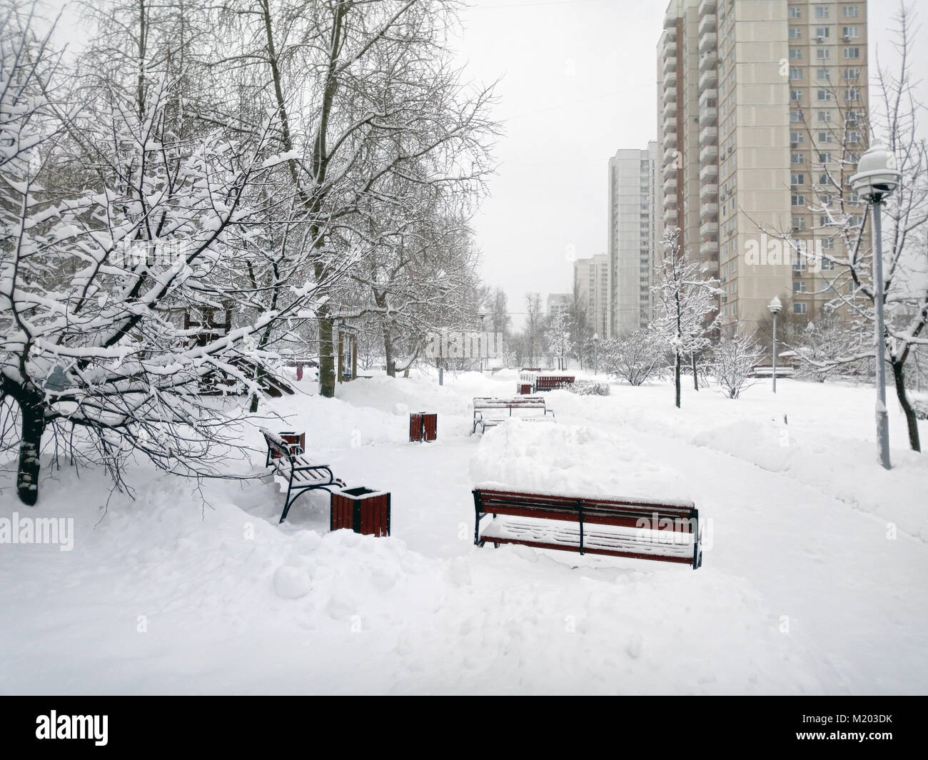 city park after snowfall at day Stock Photo - Alamy