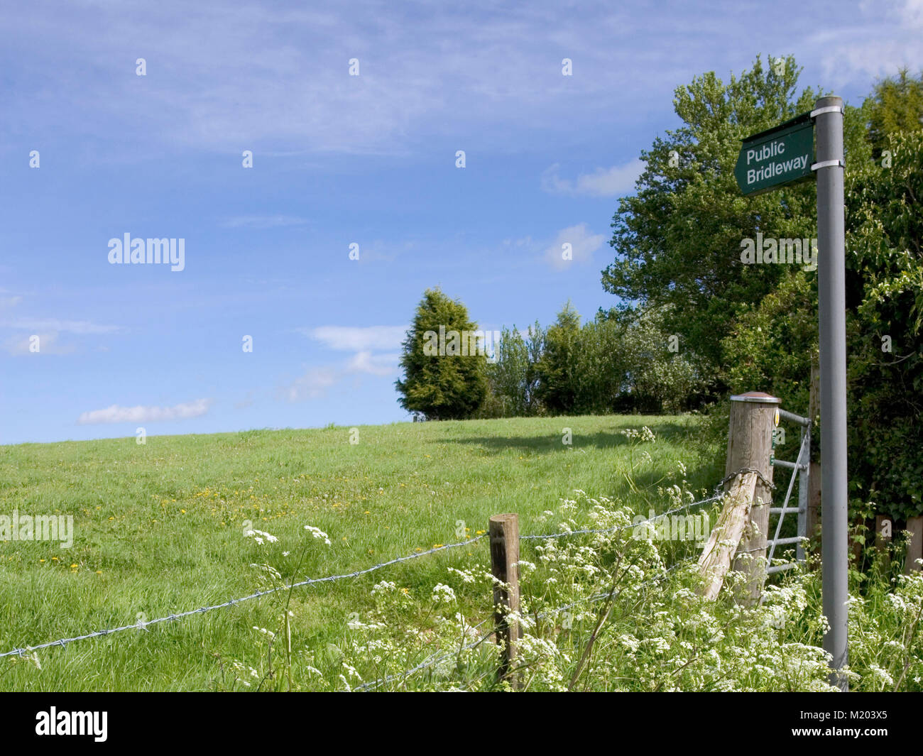 Public footpath sign pointing to field up hill to horizon, Gloucestershire, England, UK, Europe Stock Photo