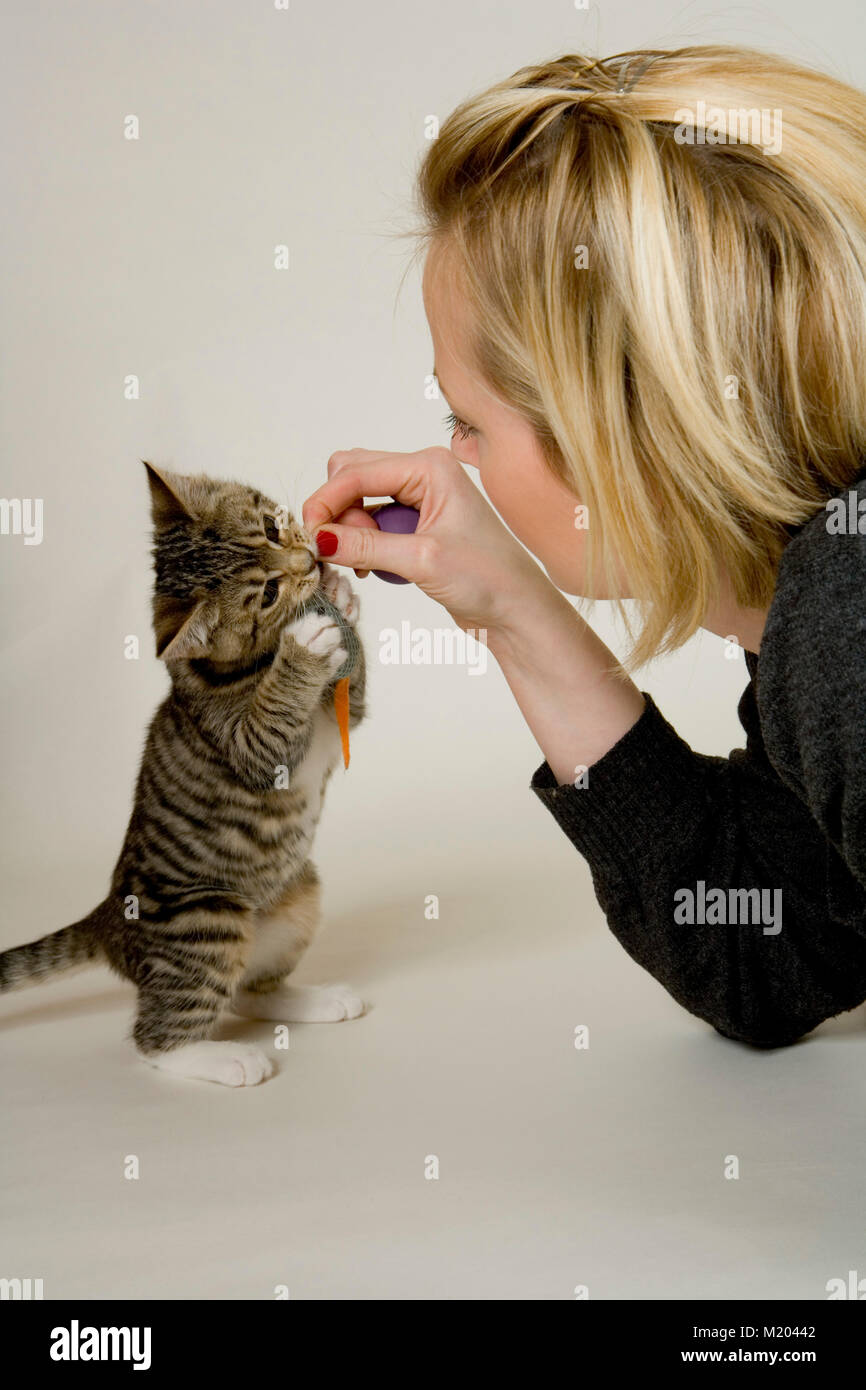 Young woman playing with a small kitten on a white background Stock Photo