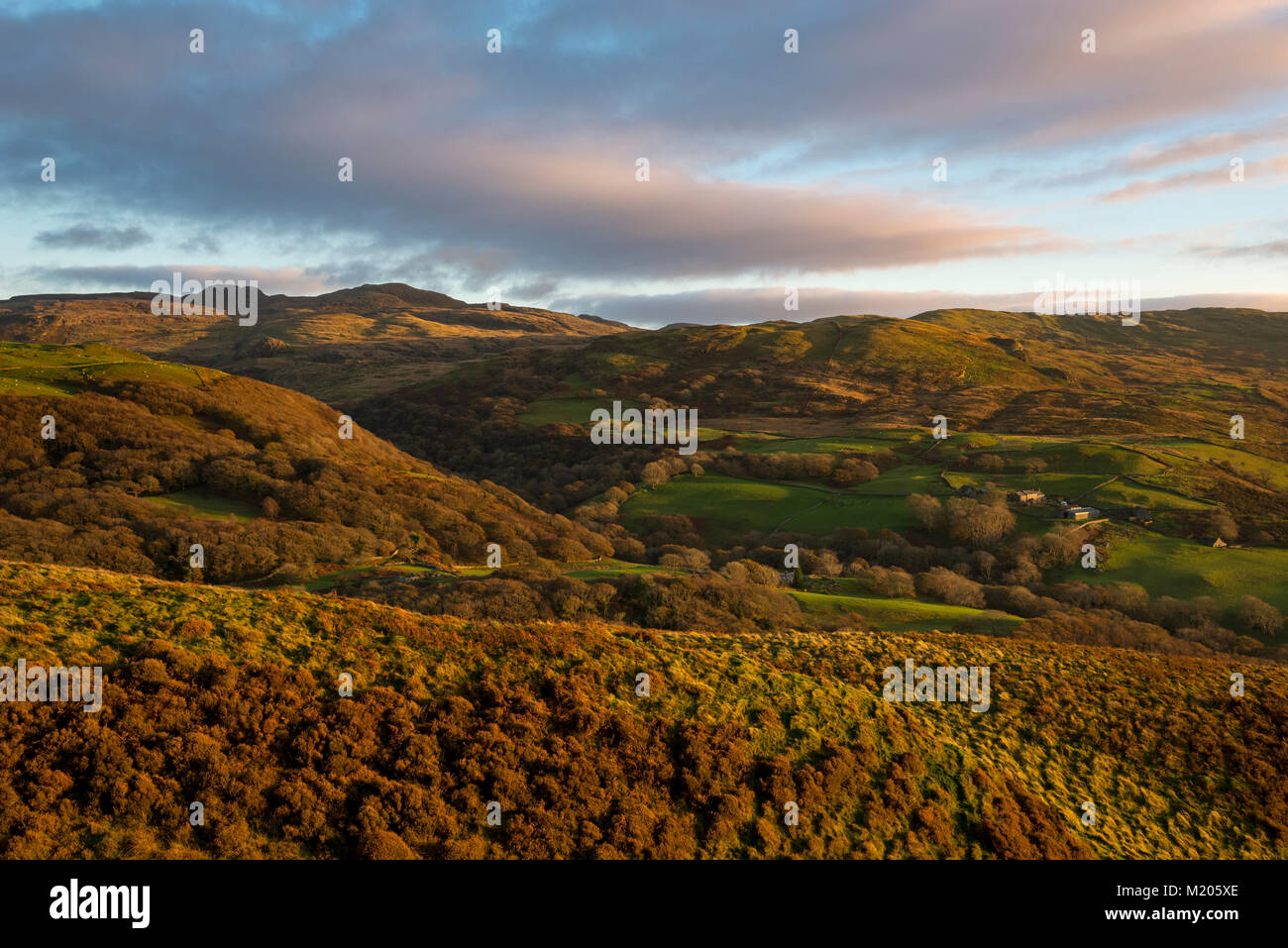 Beautiful autumn evening in the hills near Harlech in Snowdonia, North Wales. The Rhinogs in the distance. Stock Photo
