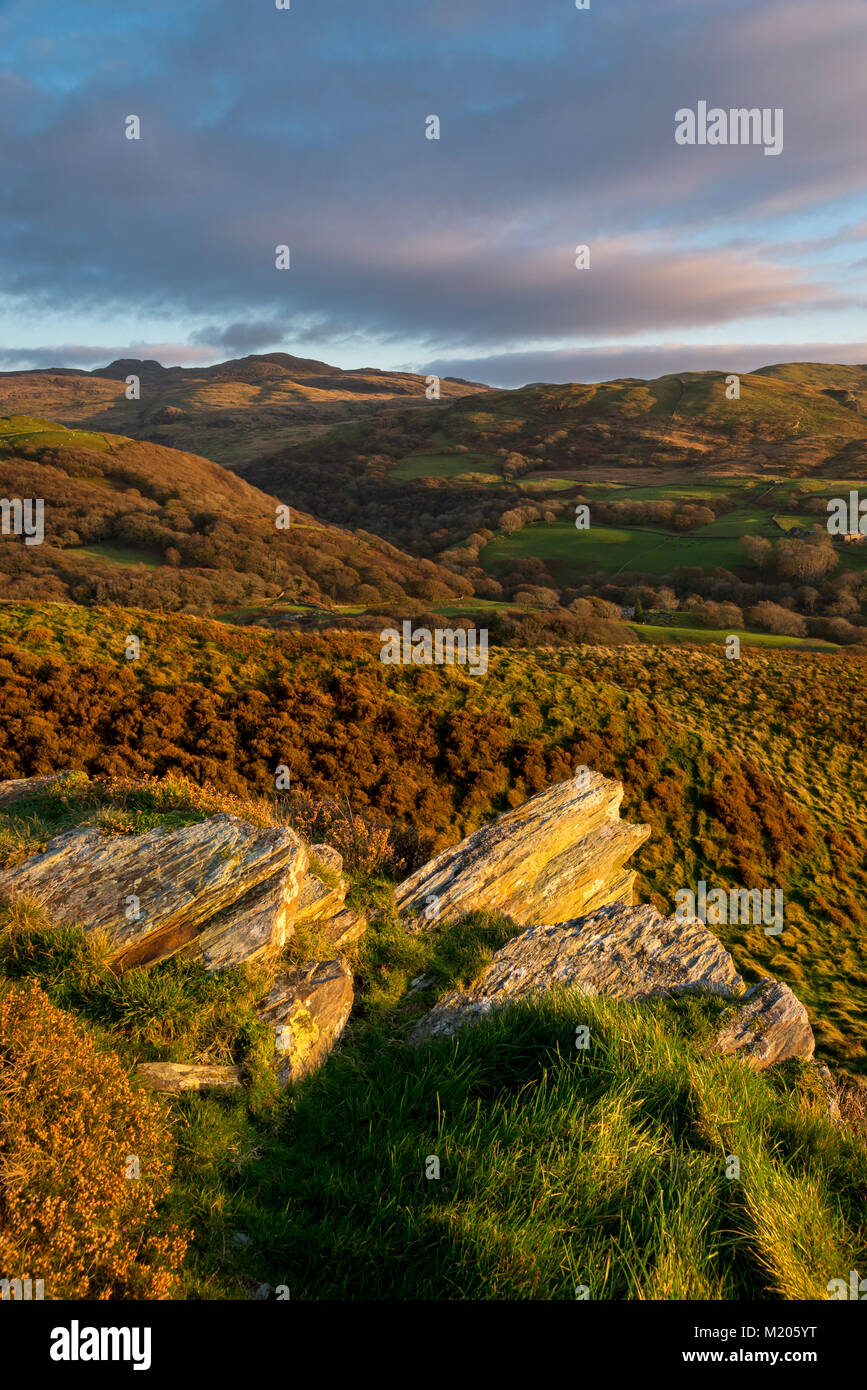 Beautiful autumn evening in the hills near Harlech in Snowdonia, North Wales. The Rhinogs in the distance. Stock Photo