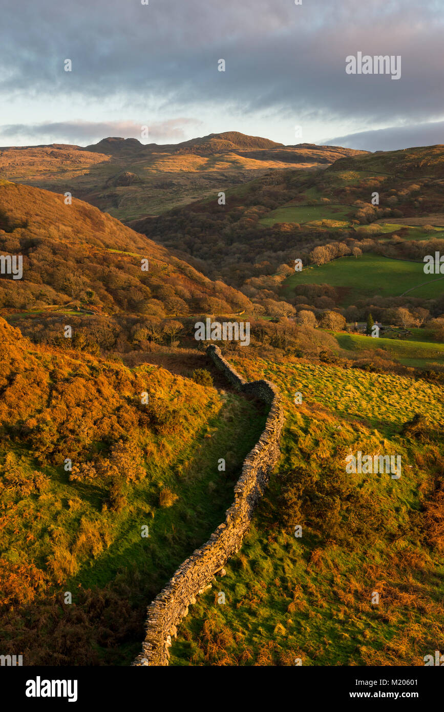 Stone wall on a hillside near Harlech in North Wales bathed in the warm