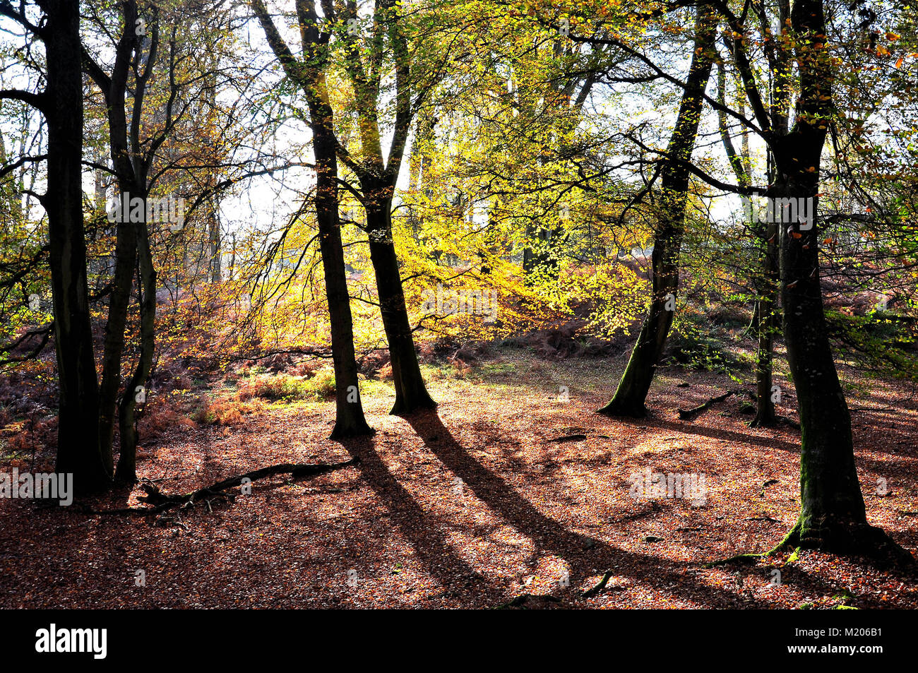 Hiking in new england hi-res stock photography and images - Alamy