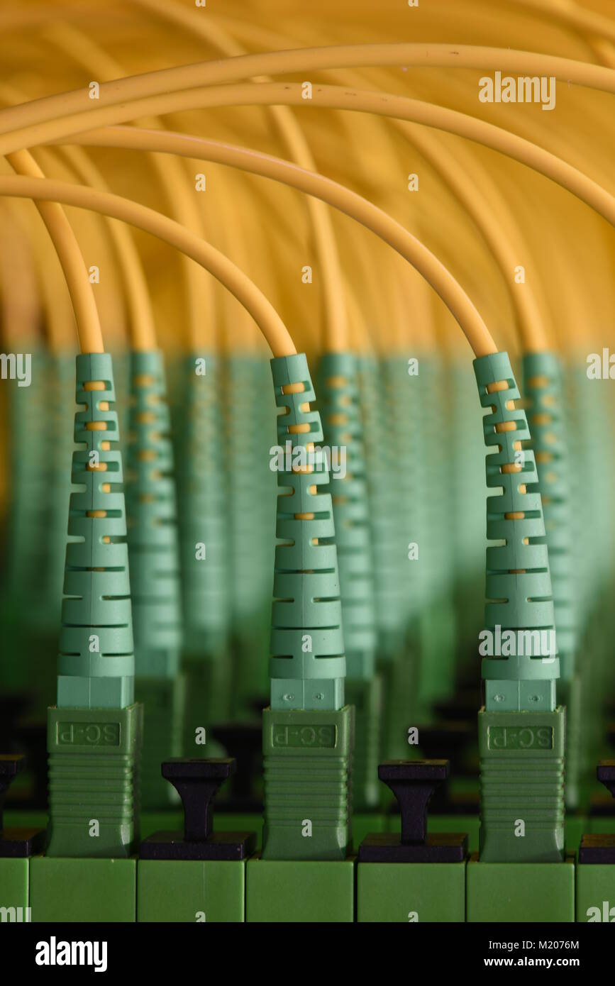 Fiber optic cables in data center Stock Photo Alamy