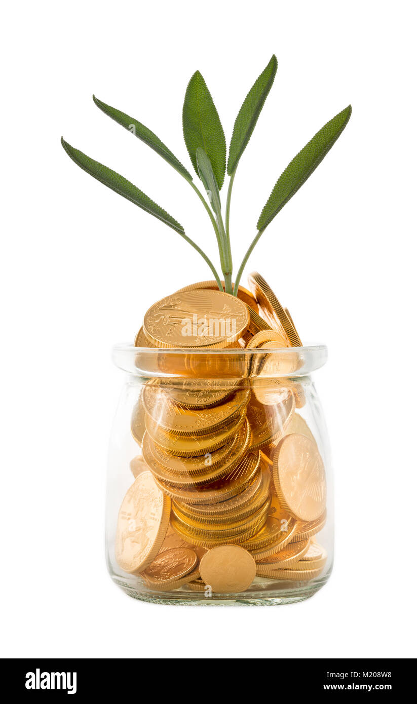 Gold coins inside glass jar to represent savings  with green shoots Stock Photo