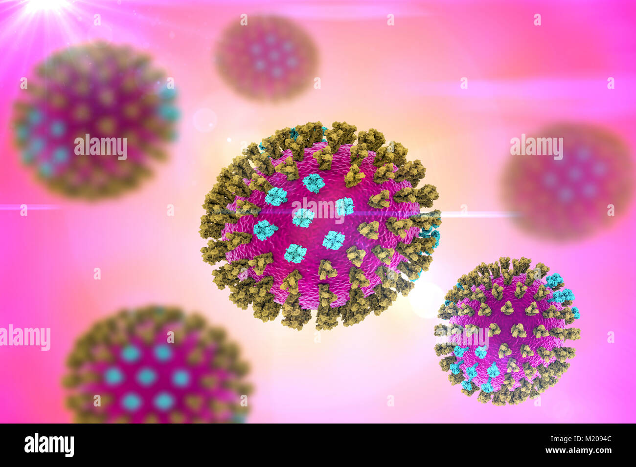 Flu viruses, Michigan strain, computer illustration. Each virus consists of a core of RNA (ribonucleic acid) genetic material surrounded by a protein coat (purple). Embedded in the coat are surface proteins (spikes). There are two types of surface protein, hemagglutinin (green) and neuraminidase (blue), and each exists in several subtypes. Both surface proteins are associated with the pathogenicity of a virus. Hemagglutinin binds to host cells, allowing the virus to enter them and replicate. Neuraminidase allows the new particles to exit the host after replication. Stock Photo