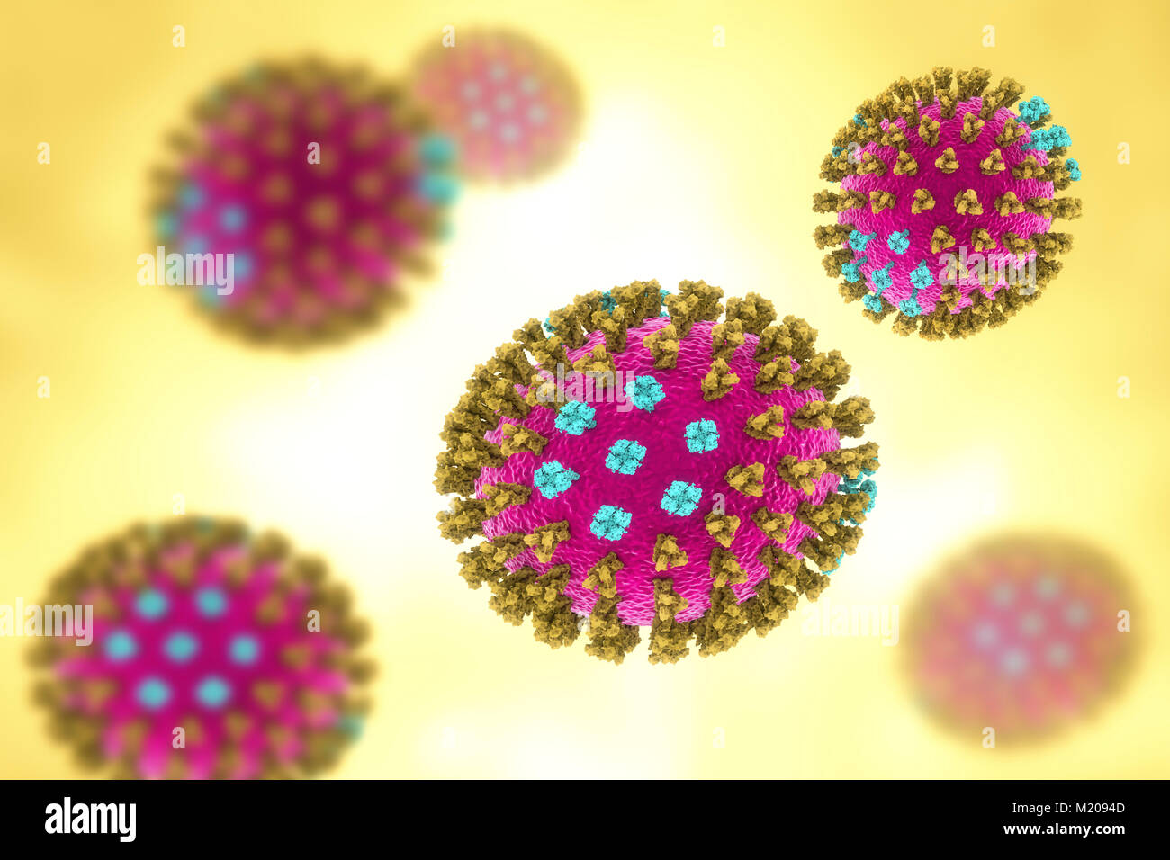 Flu viruses, Michigan strain, computer illustration. Each virus consists of a core of RNA (ribonucleic acid) genetic material surrounded by a protein coat (purple). Embedded in the coat are surface proteins (spikes). There are two types of surface protein, hemagglutinin (green) and neuraminidase (blue), and each exists in several subtypes. Both surface proteins are associated with the pathogenicity of a virus. Hemagglutinin binds to host cells, allowing the virus to enter them and replicate. Neuraminidase allows the new particles to exit the host after replication. Stock Photo