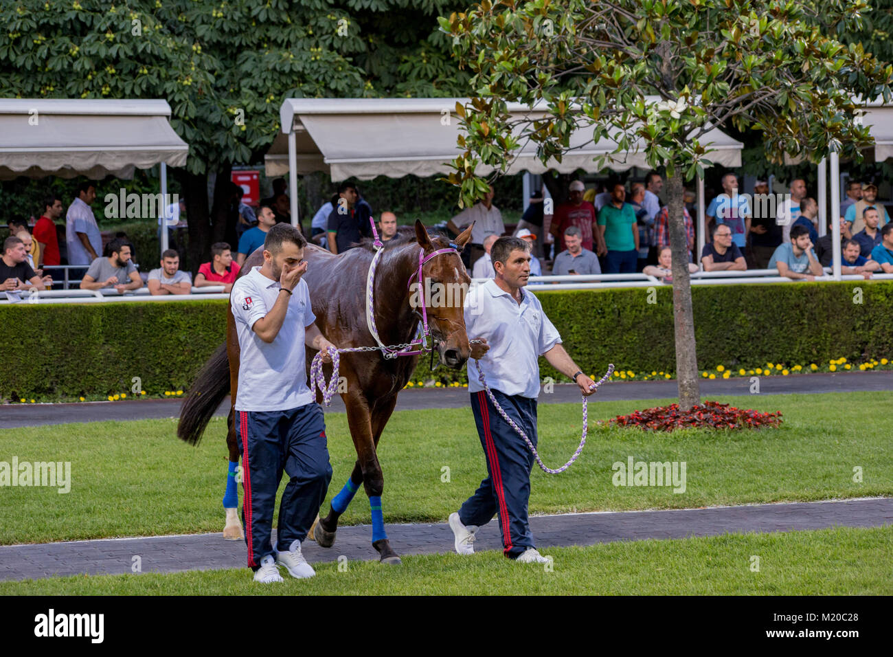 Istanbul, June 25, 2017; Jockeys and horses getting ready for Gazi Run which is the most known horse race organization of Turkey Stock Photo