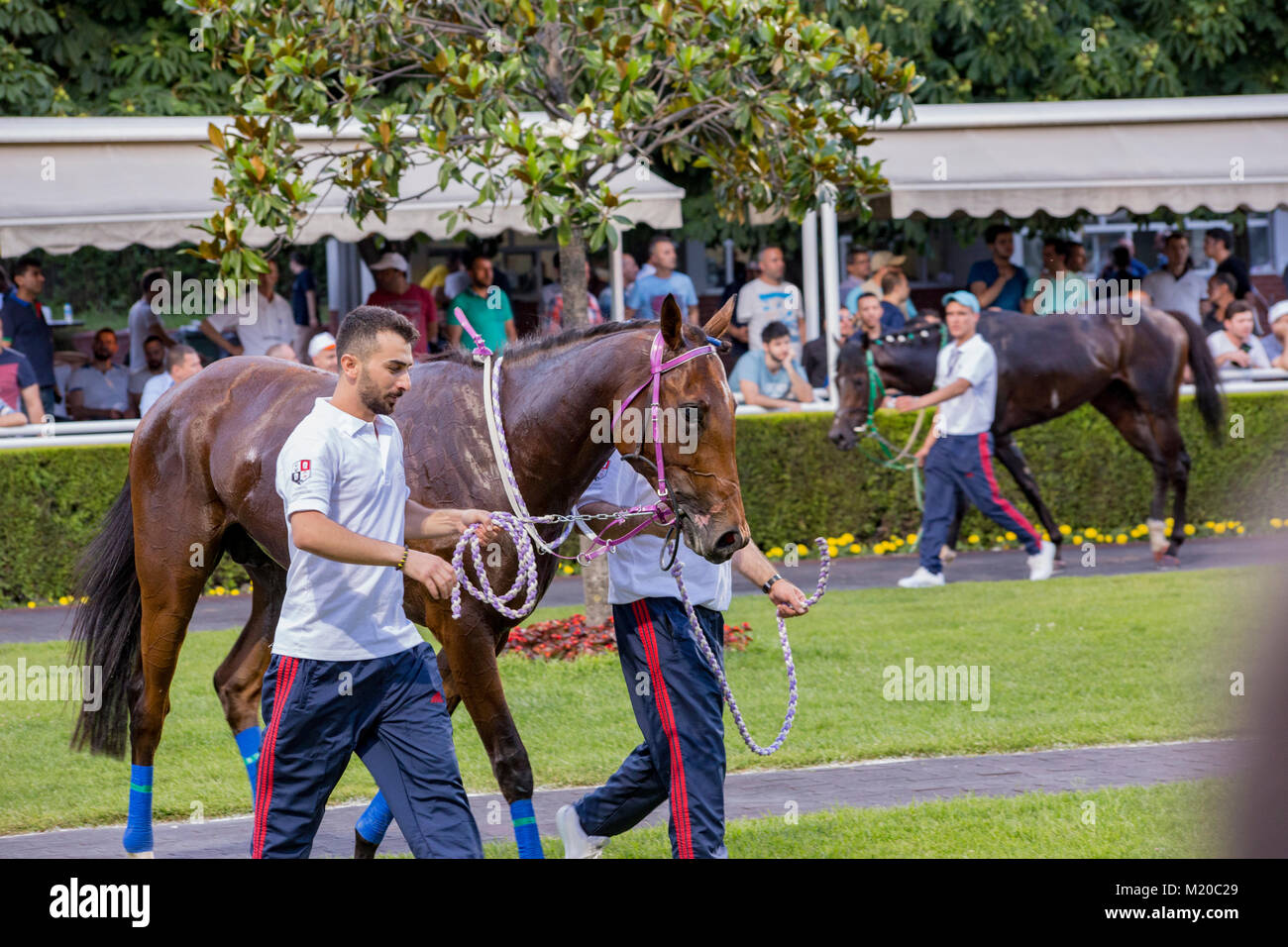 Istanbul, June 25, 2017; Jockeys and horses getting ready for Gazi Run which is the most known horse race organization of Turkey Stock Photo