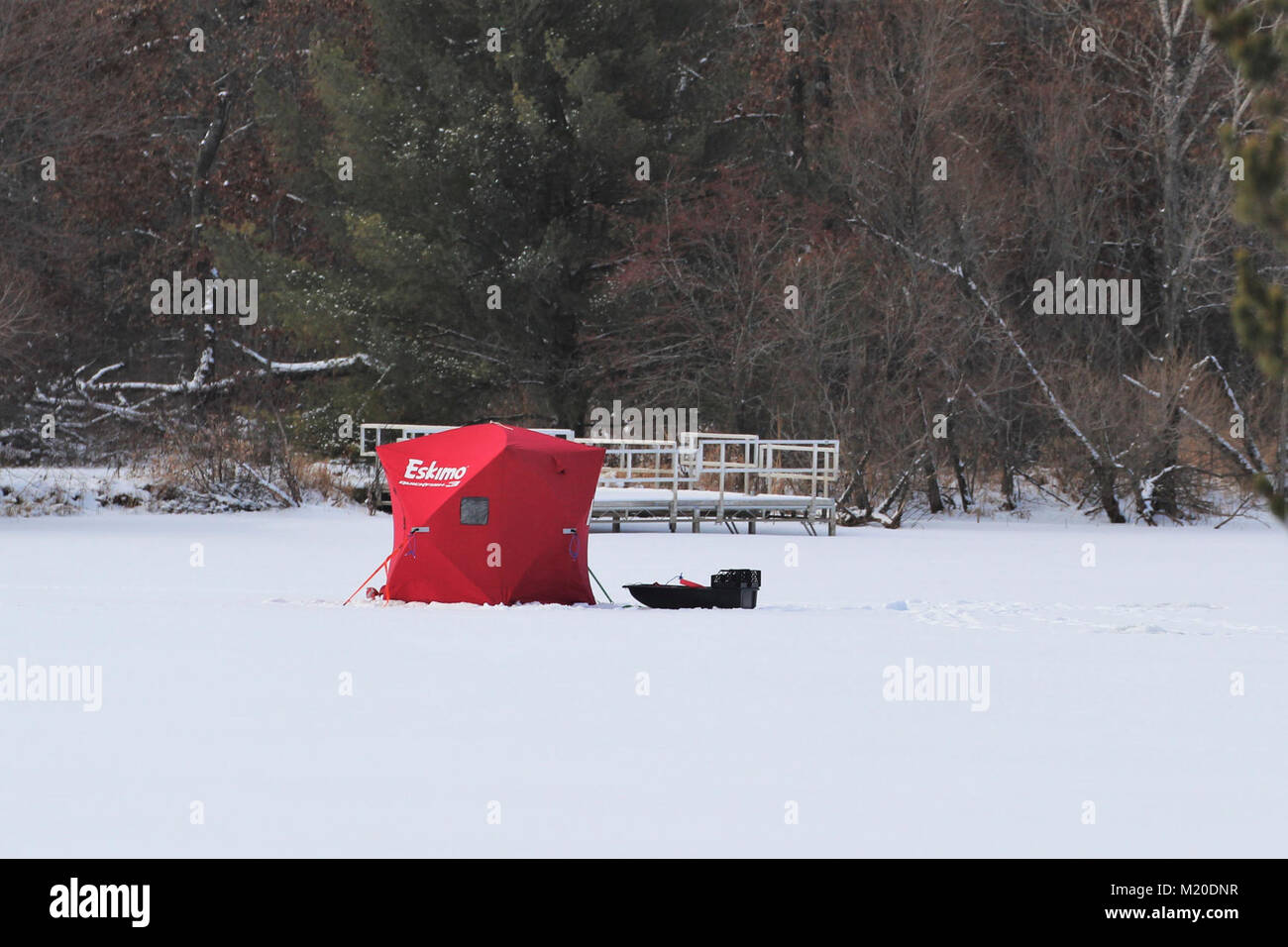 The fox had an ice hut The fox had an ice hut