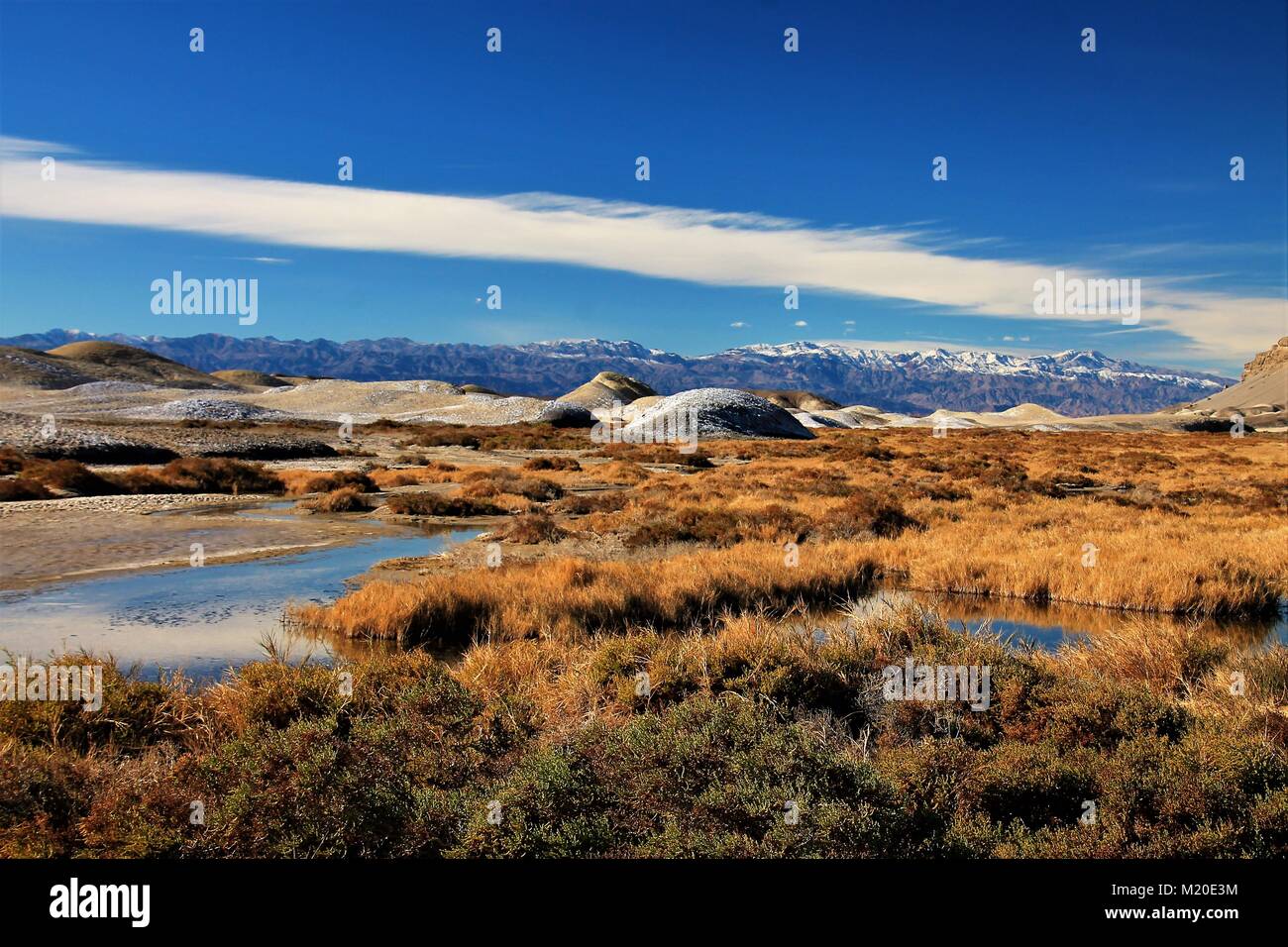 Harsh habitat environment hi-res stock photography and images - Alamy