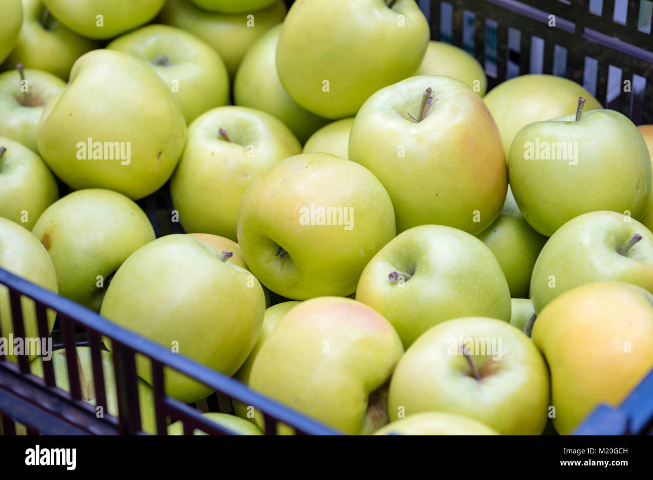 Organic fresh apple in boxes displayed at market, closeup, top view. Healthy golden delicious apple at market stall, Sydney, Australia. Stock Photo
