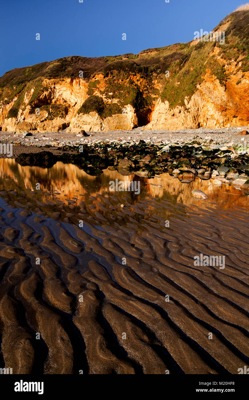 Golden cliffs and sand at Church Bay, Anglesey, Wales in summer sunshine under blue skies Stock Photo
