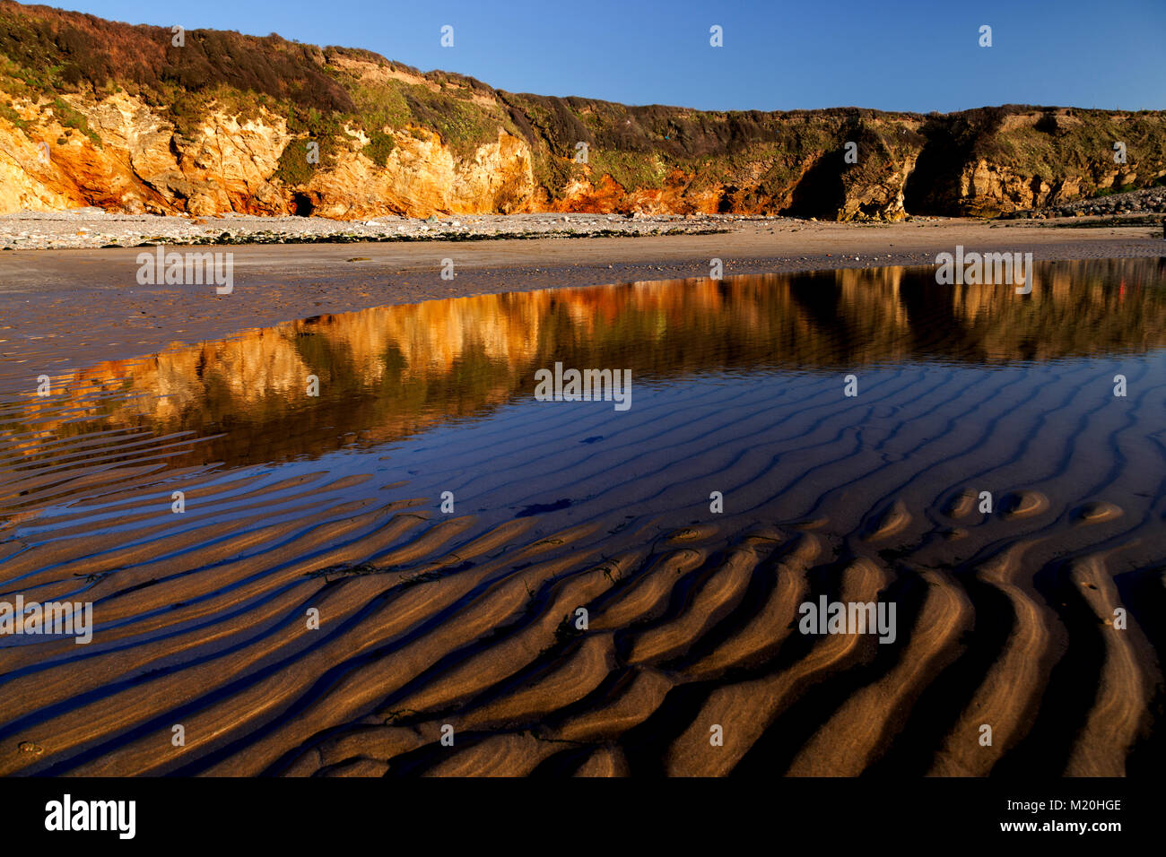 Golden cliffs and sand at Church Bay, Anglesey, Wales in summer sunshine under blue skies Stock Photo