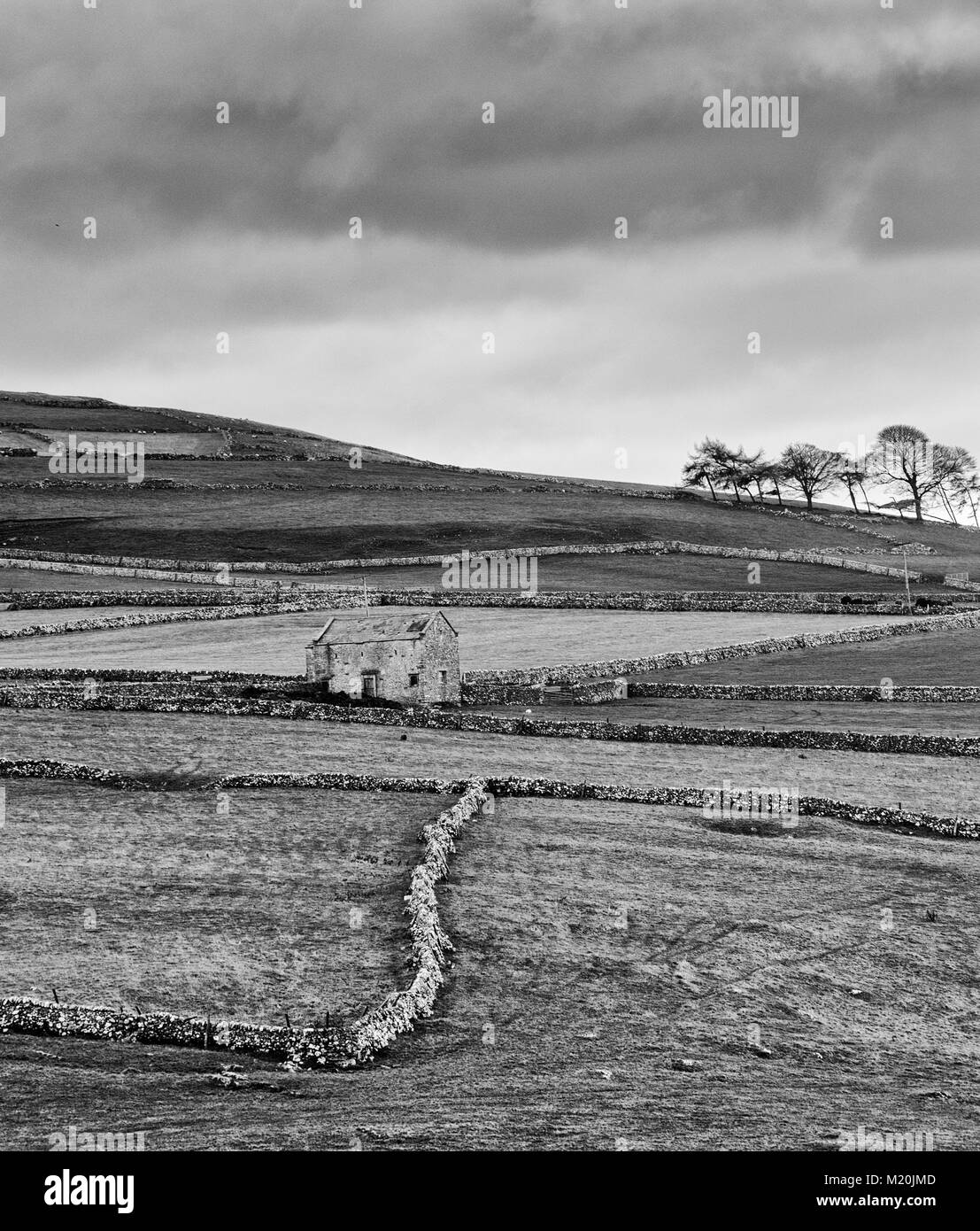 Black and White photo of limestone walls dividing fields  in the Derbyshire peak district England  UK Stock Photo