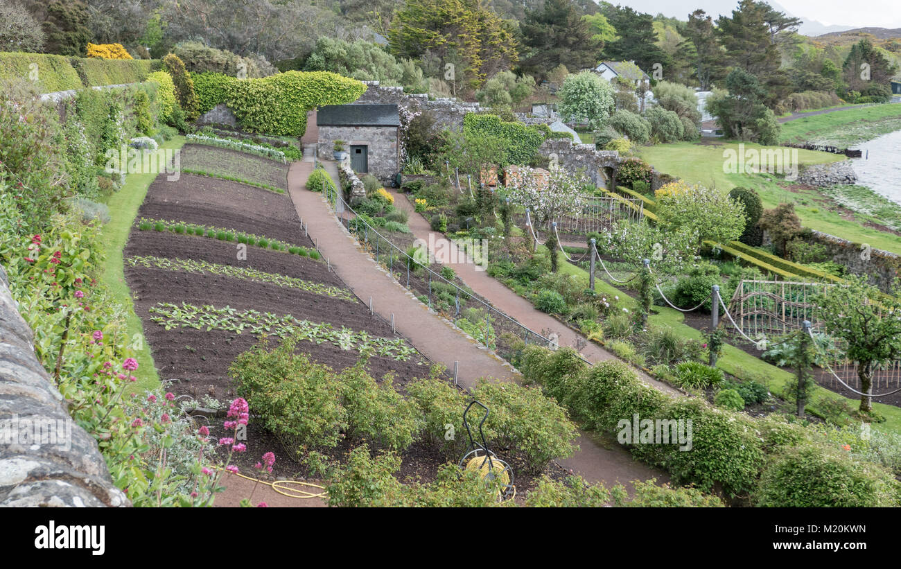 The vegetable gardens at Inverewe Gardens, Poolewe, Wester Ross, Scotland.  UK Stock Photo - Alamy