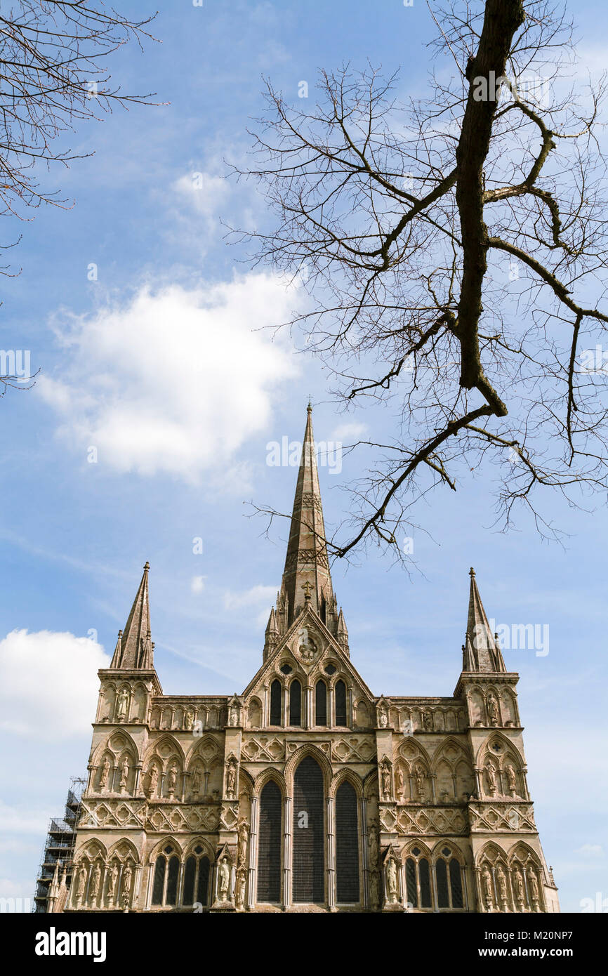 The facade and spire of Salisbury Cathedral, emphasising verticality with tree branch. Stock Photo