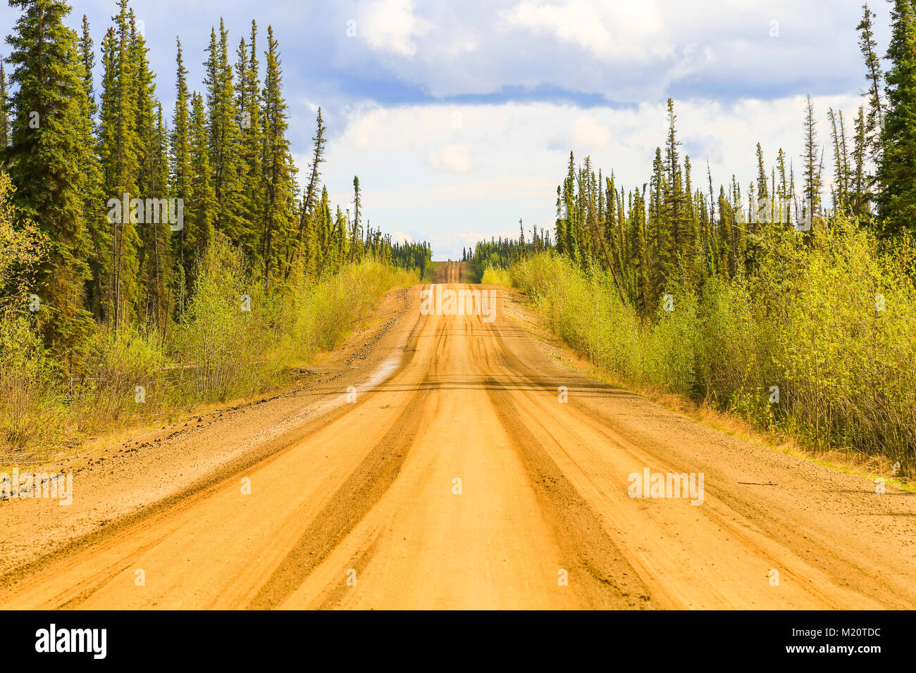 The Dalton Highway between Yukon River and Fairbanks in Alaska. The
