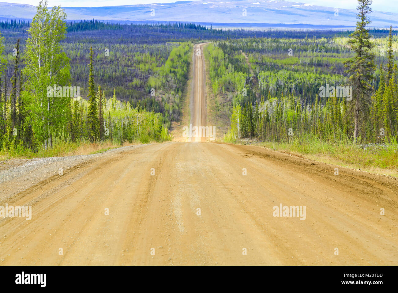 The Dalton Highway between Yukon River and Fairbanks in Alaska. The